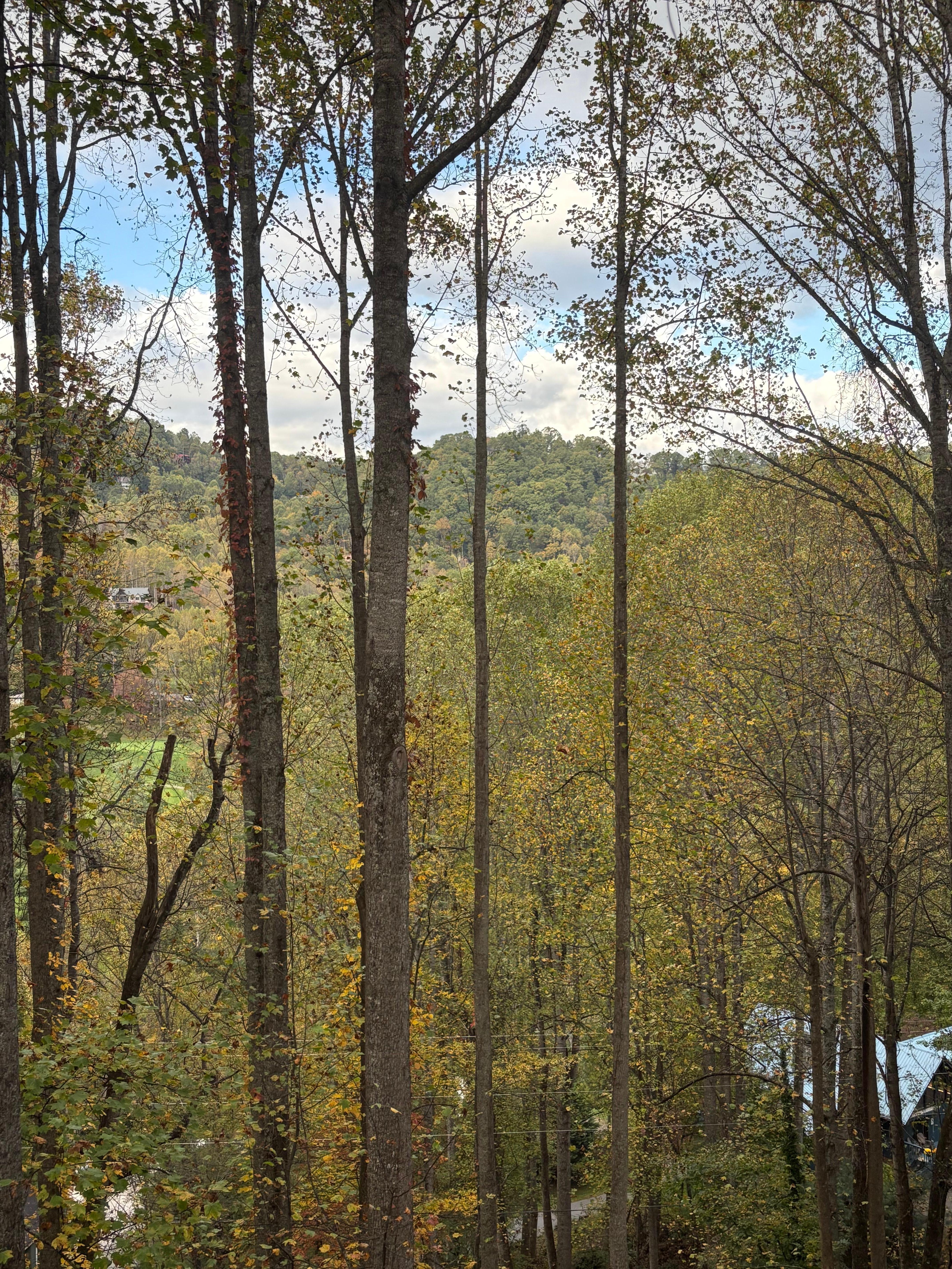 View from back balcony. 