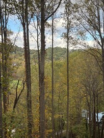 View from back balcony.