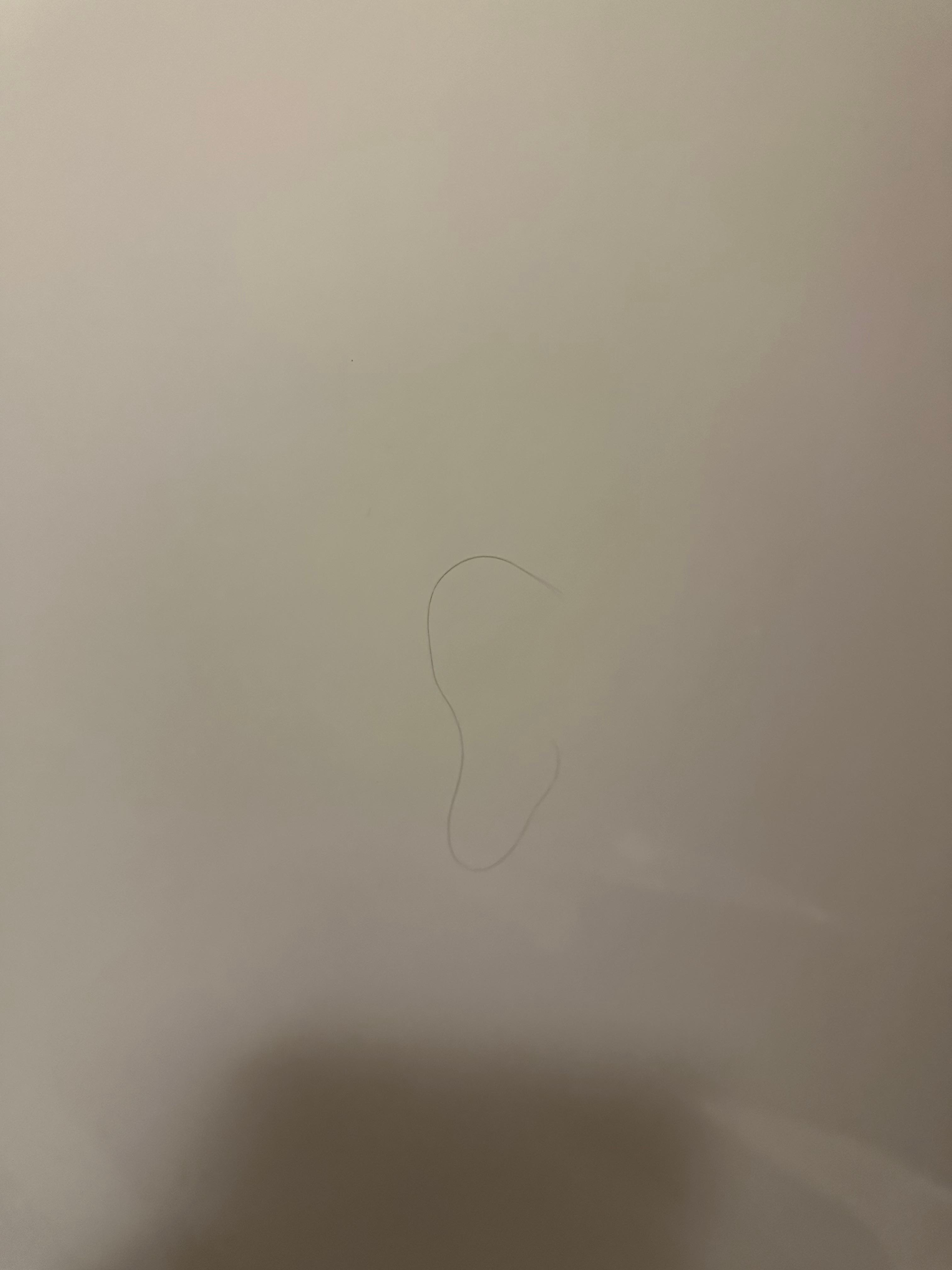 Dirty shower walls with hair