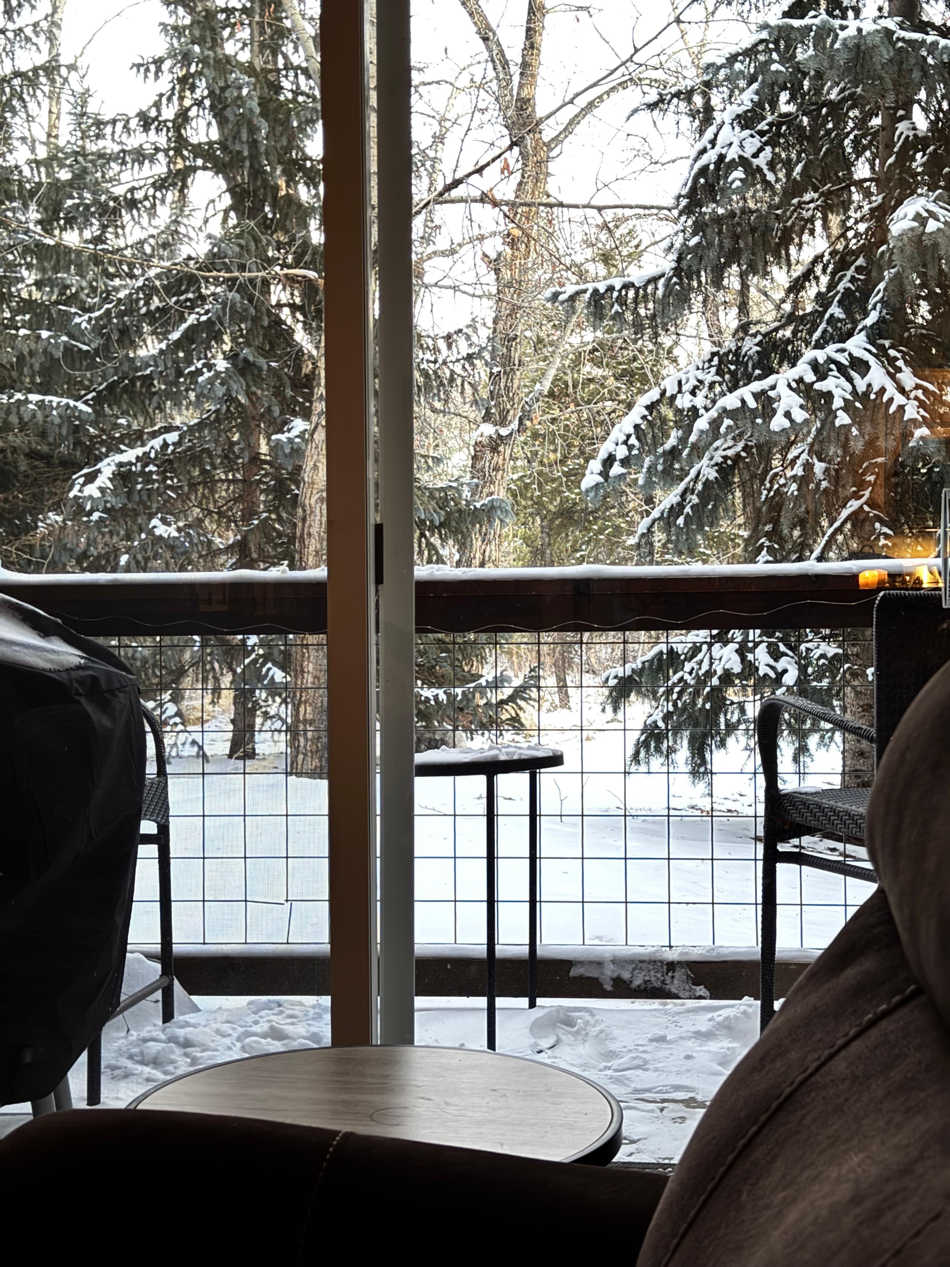 View from the living room couch to the patio