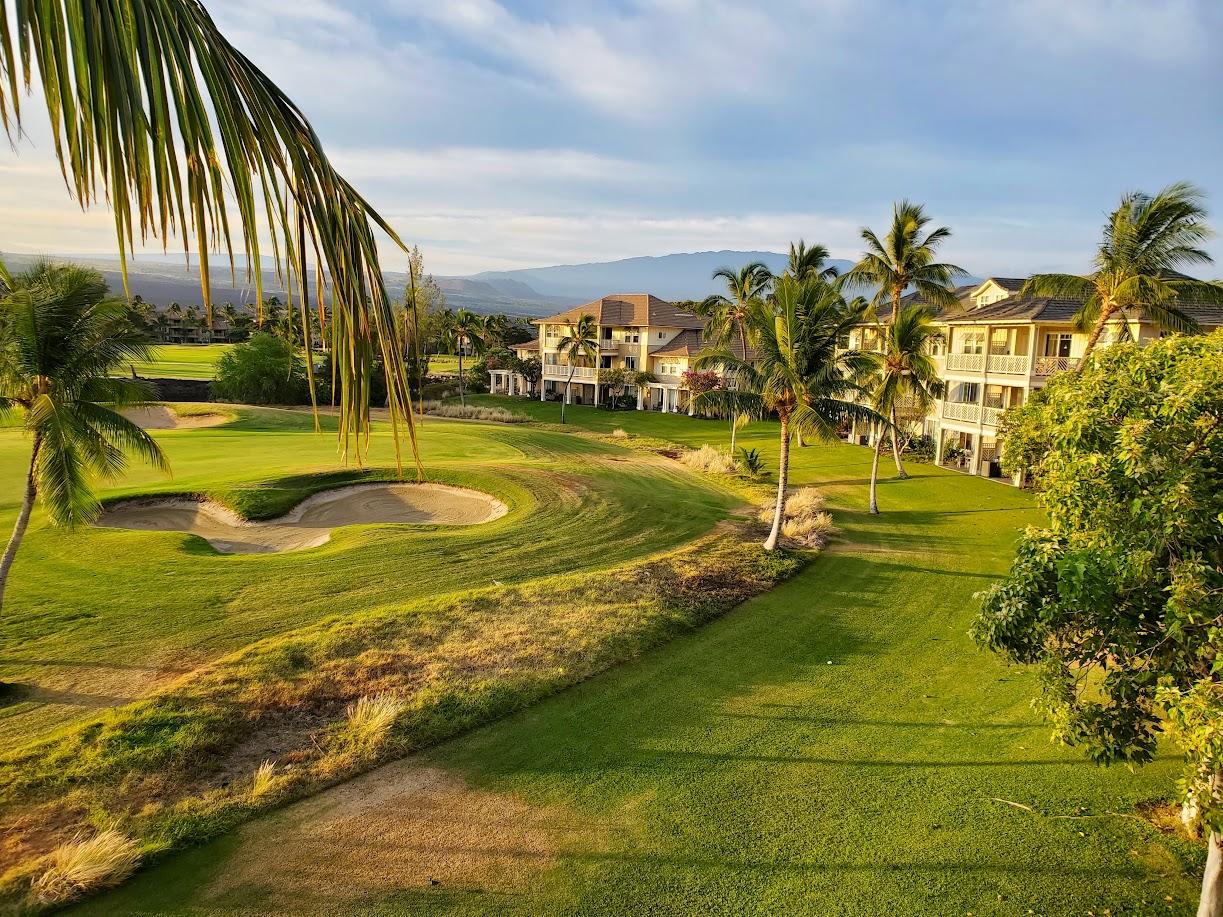 Beautiful morning golf course view!