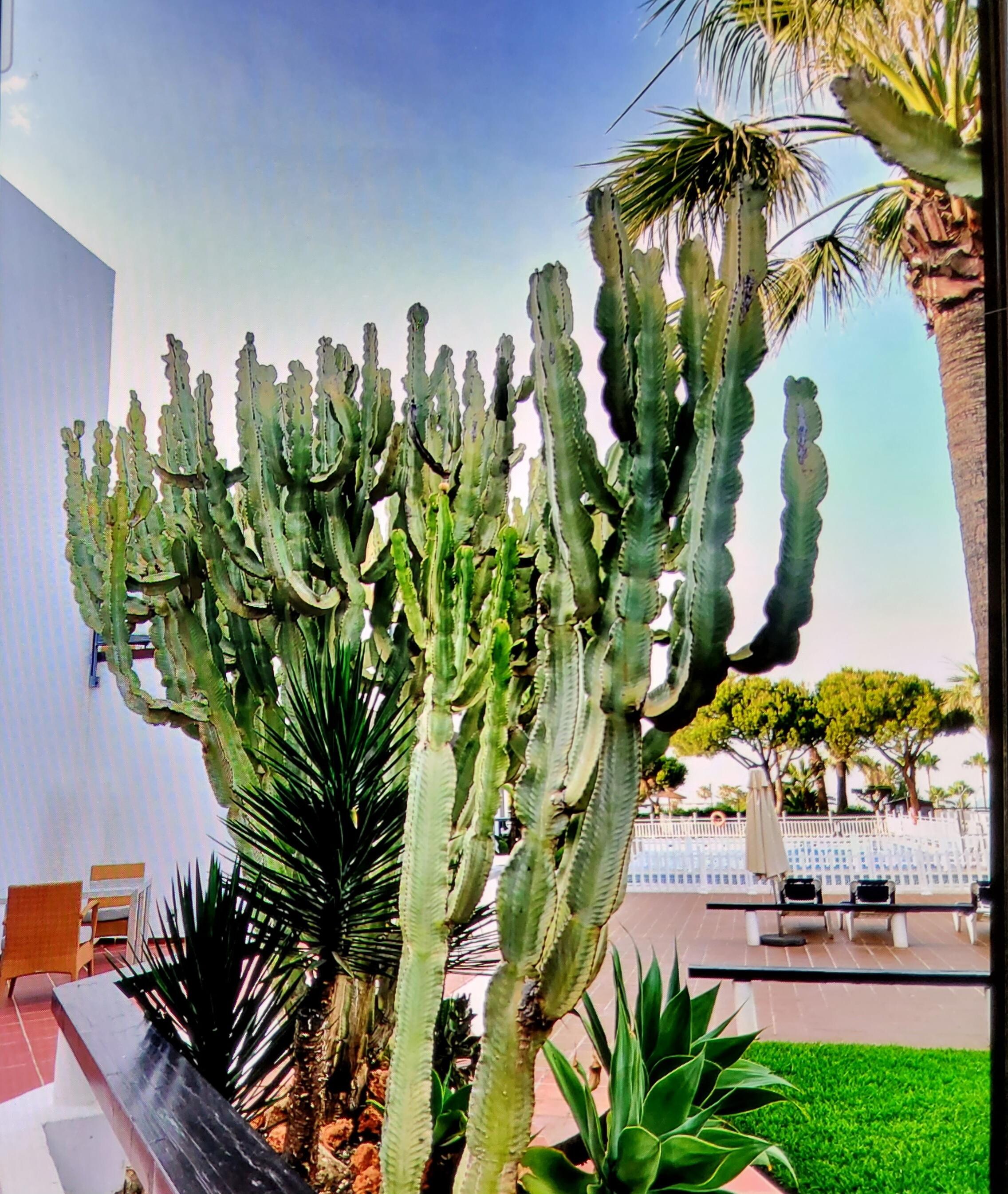 Landscaping on property