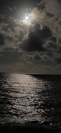 Moonlit ocean
