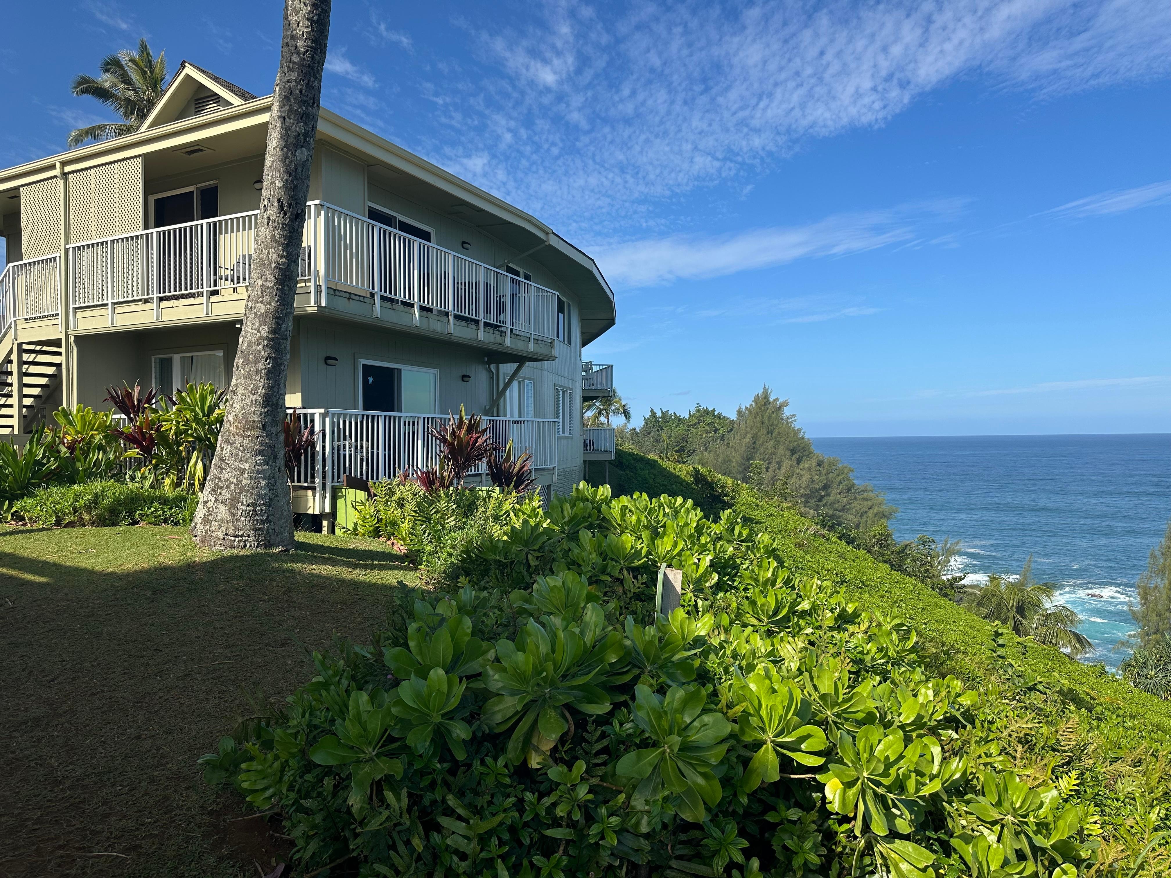 Unit 104 view from below 