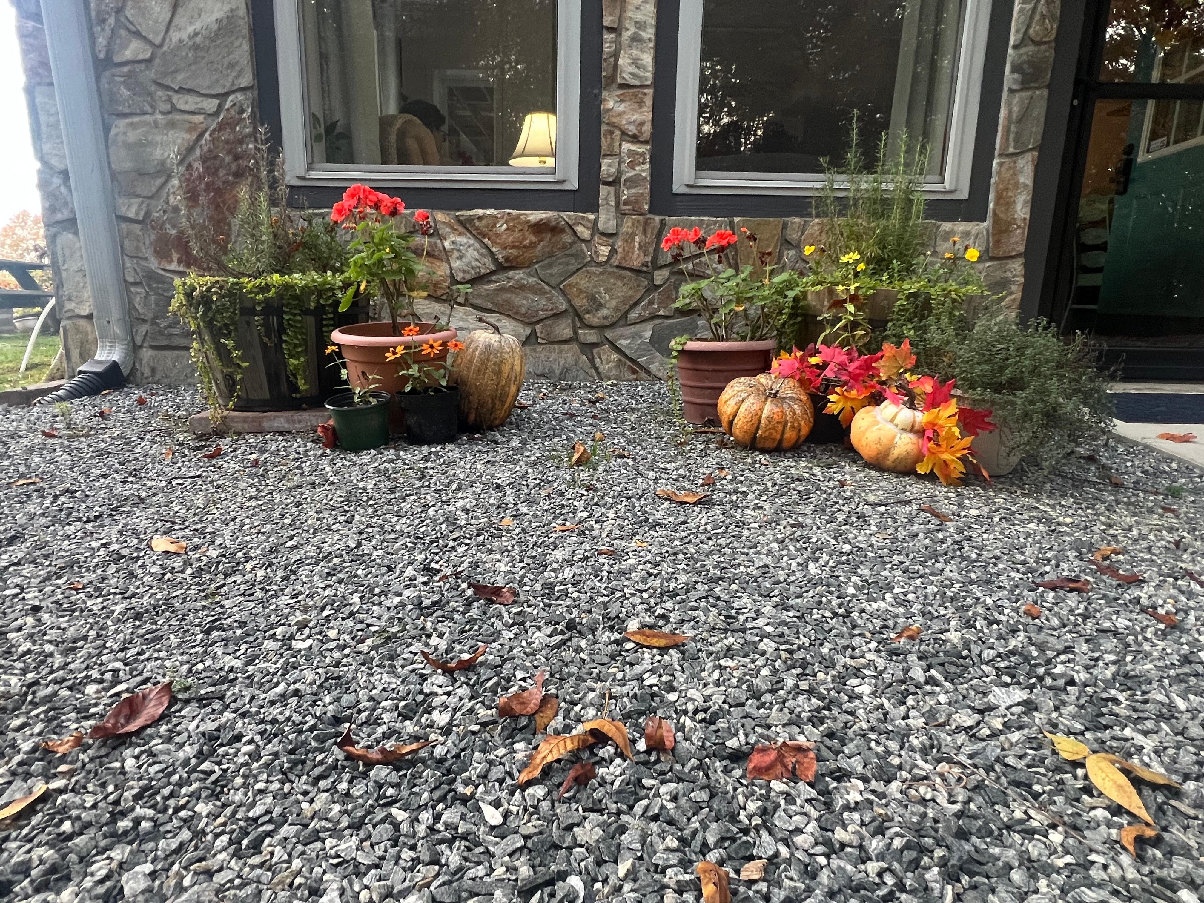 Cute fall decorations to welcome us. 