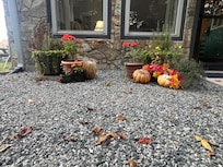 Cute fall decorations to welcome us.