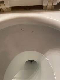 Dirty toilet bowl