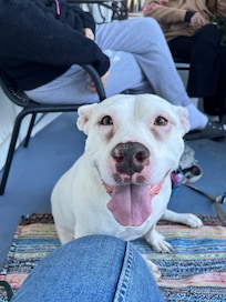 Beauty is very pleased with her accommodations.