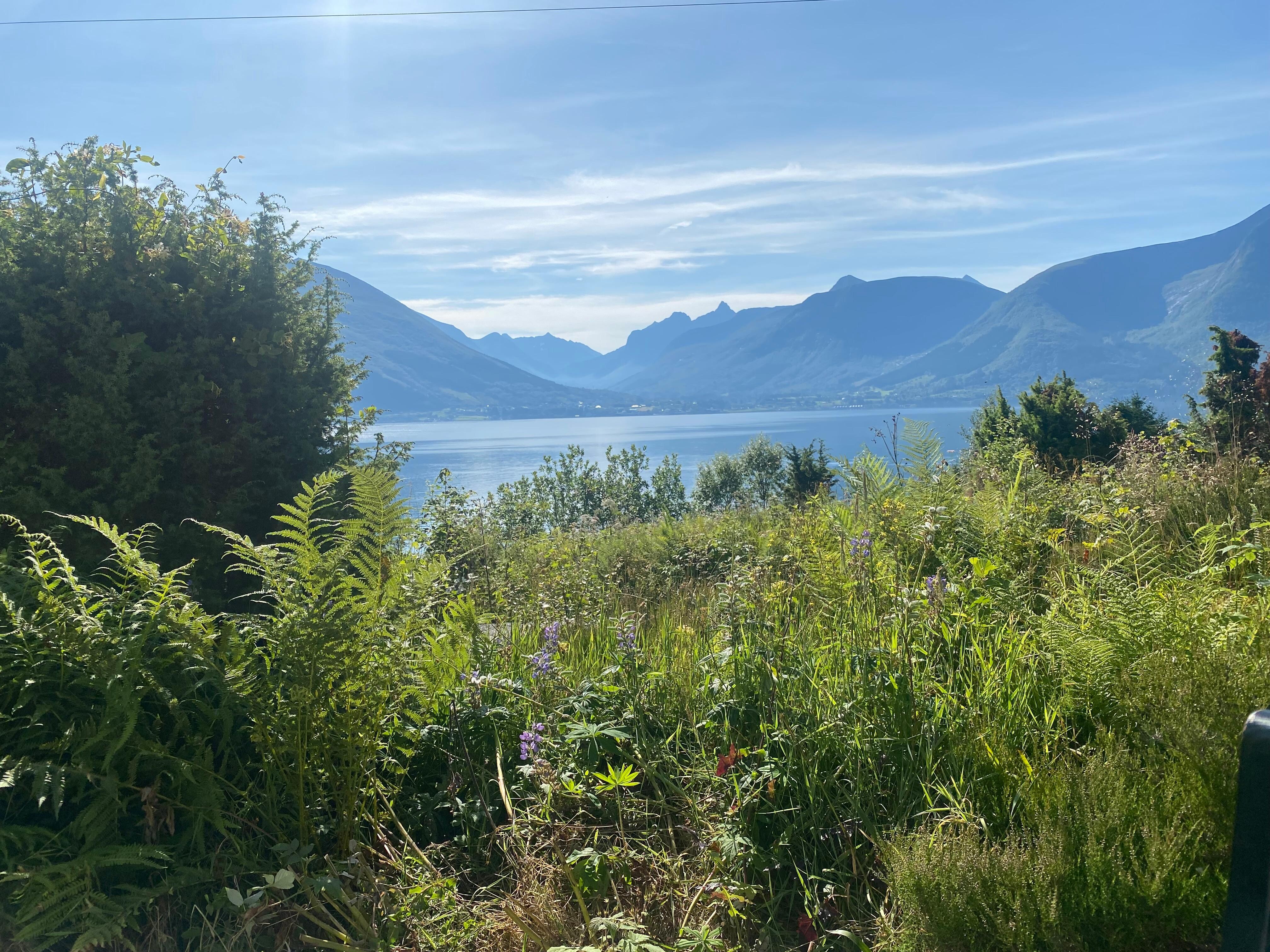 Wunderbare Aussicht!