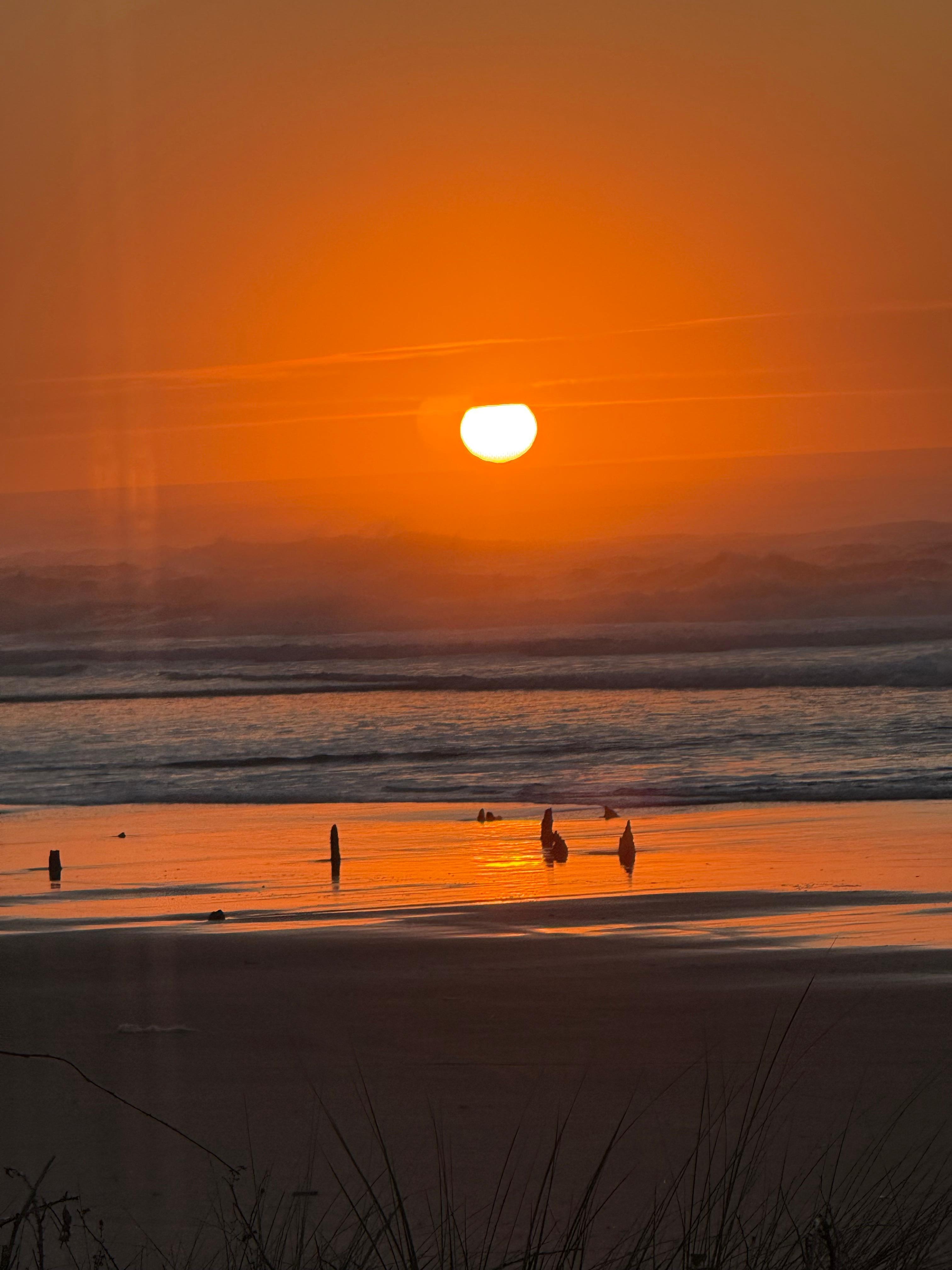 Sunset over the Ghost Forest renmains!