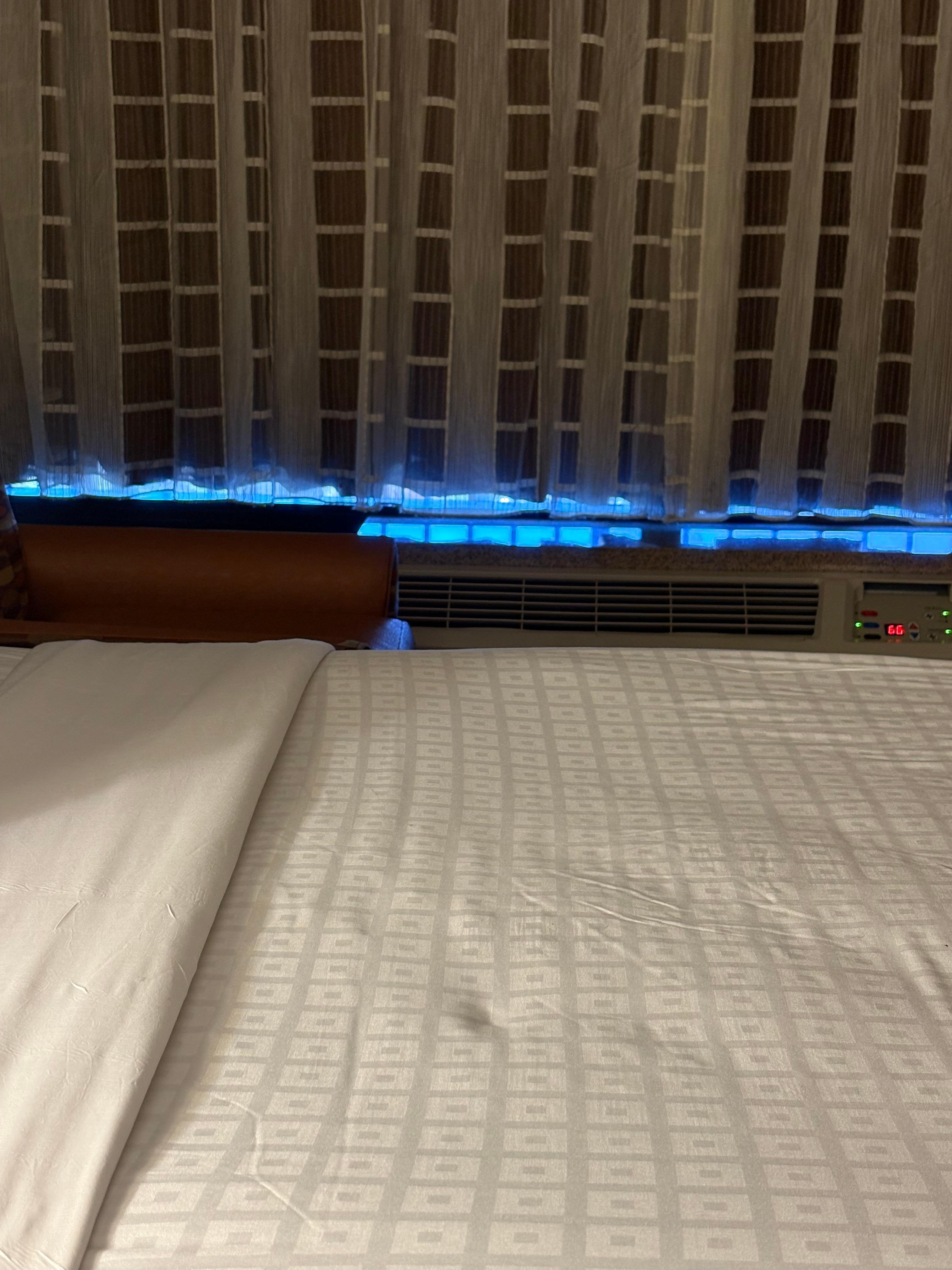 I took this picture from the bed I was sleeping in. 