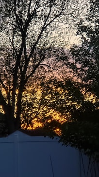 View of sunset from the back deck