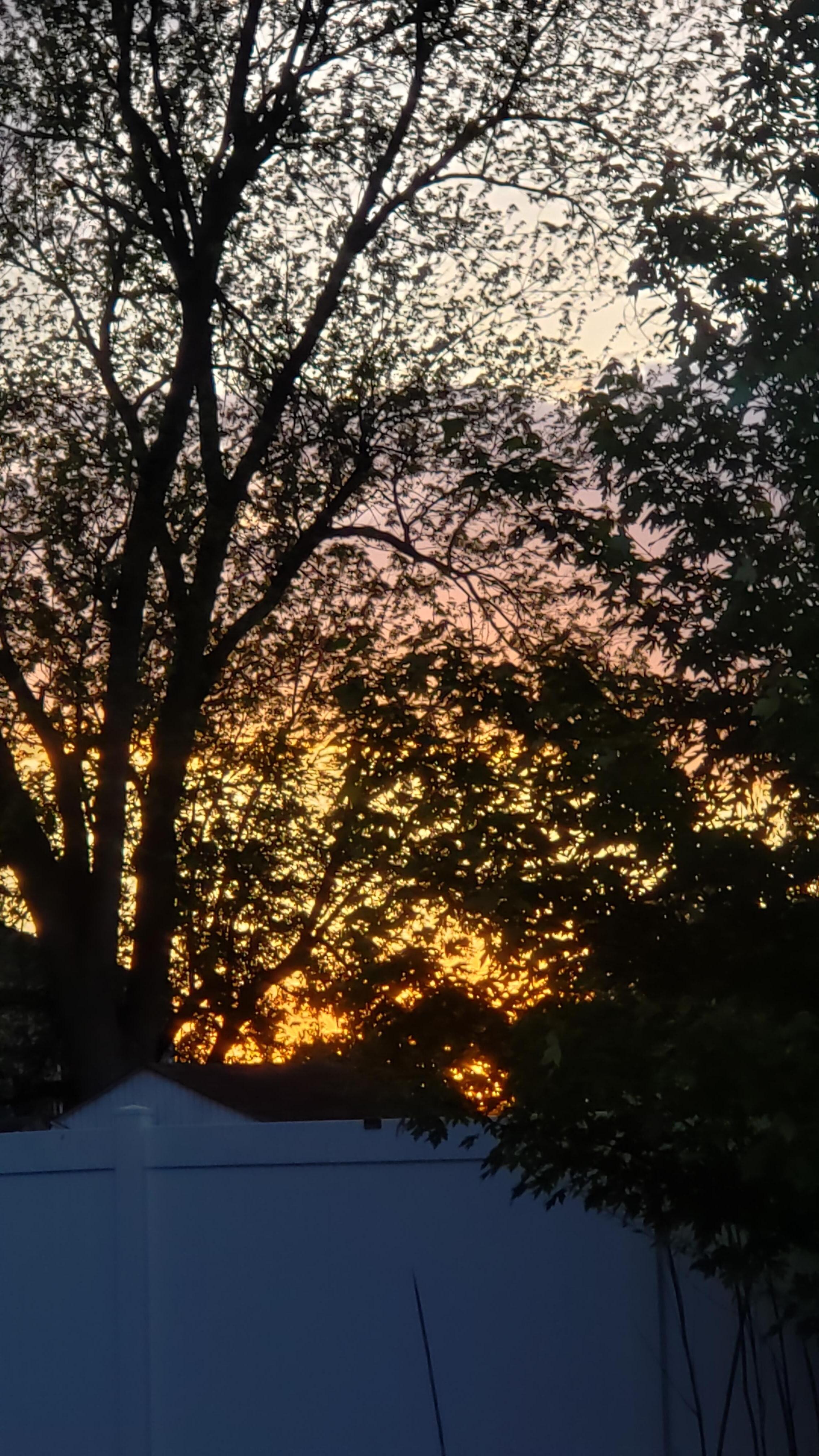 View of sunset from the back deck