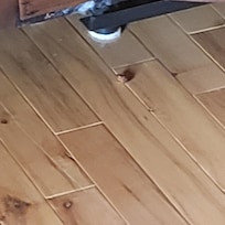 Food on the floor