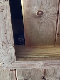 Wasp nest at attic access