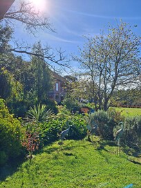 Uitzicht naar de tuin