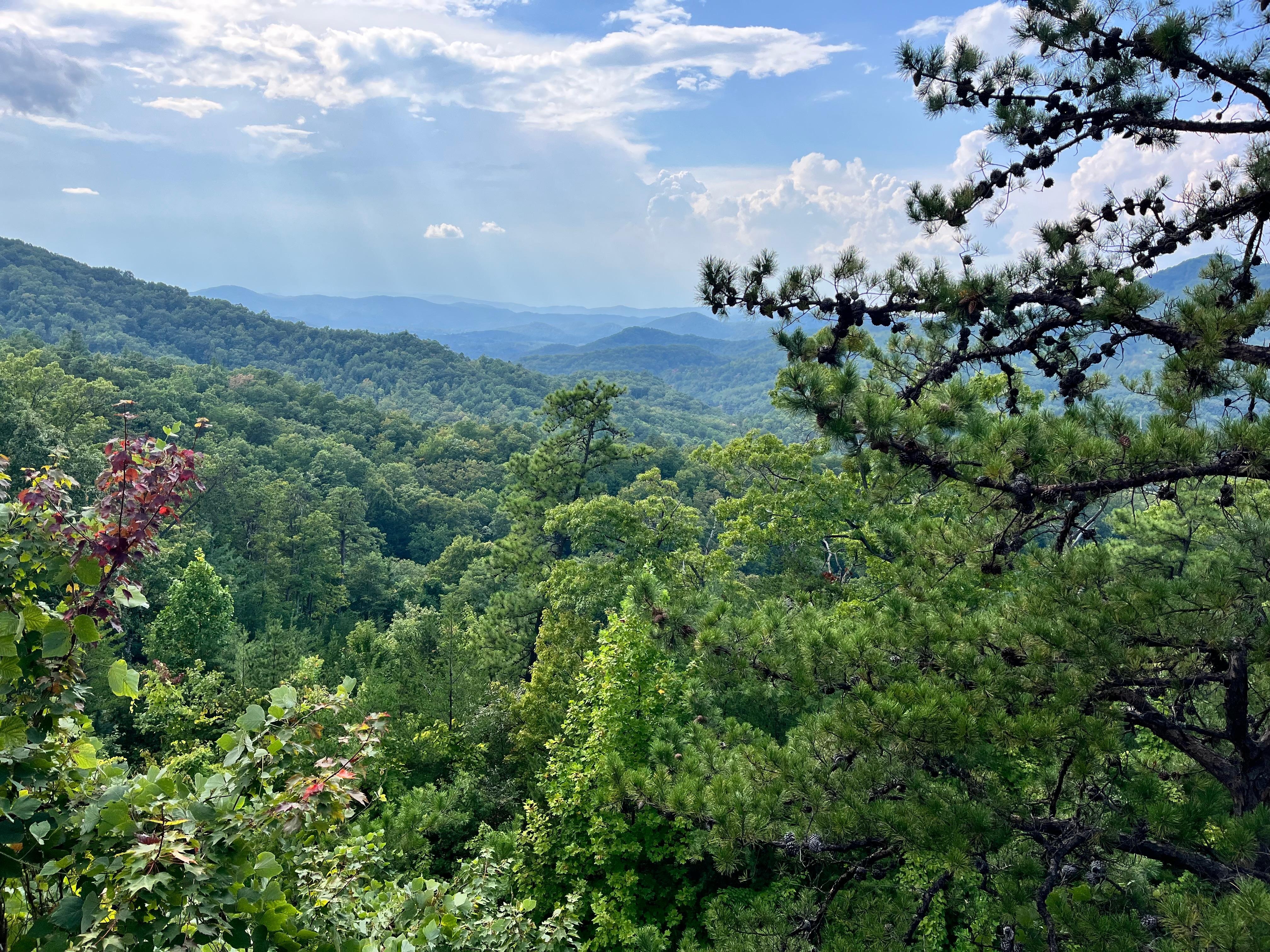Our first morning  view