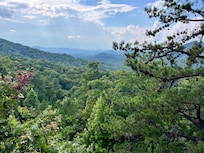 Our first morning view