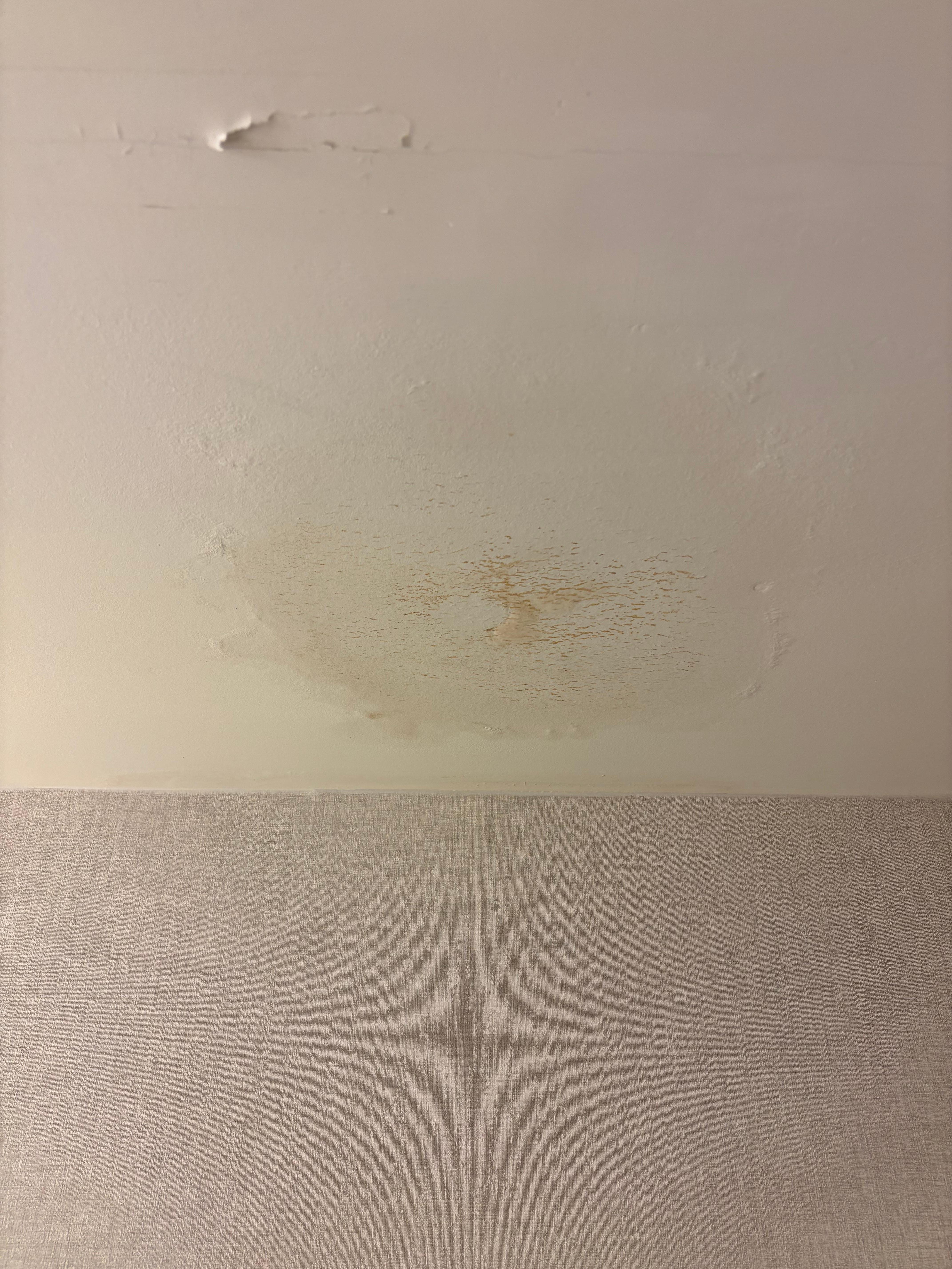 Room bathroom 