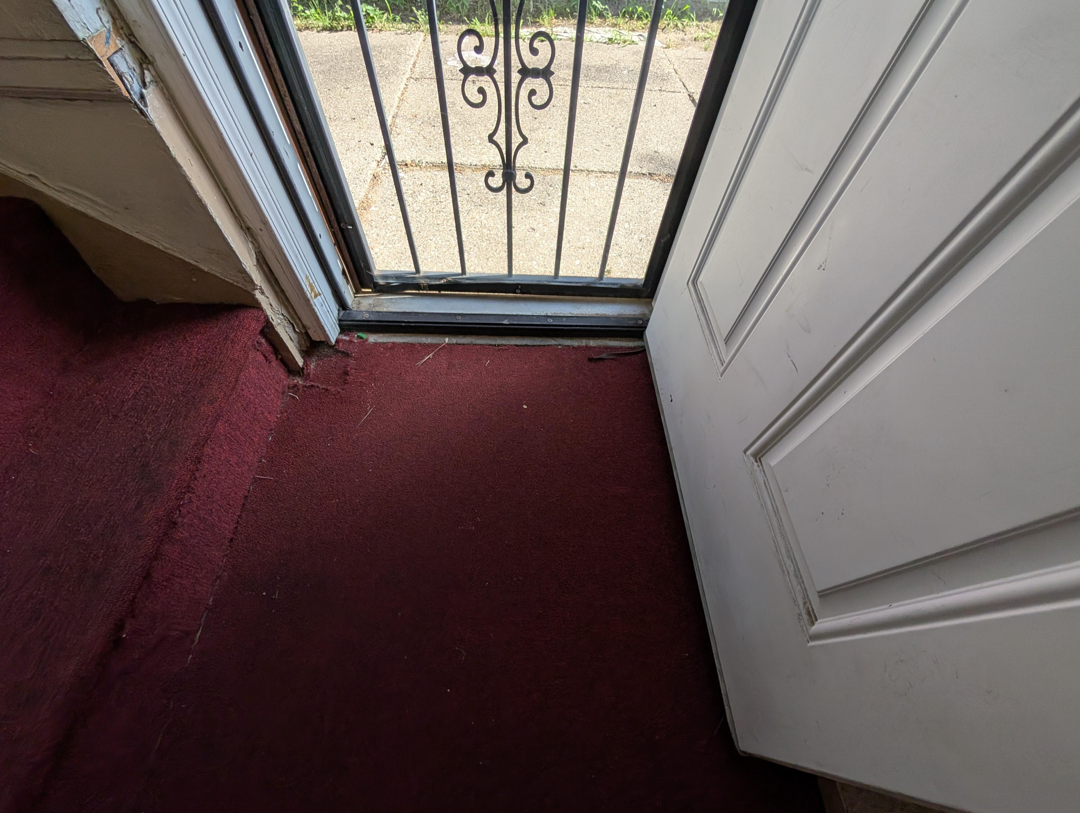 Carpet not clean or vacuumed
