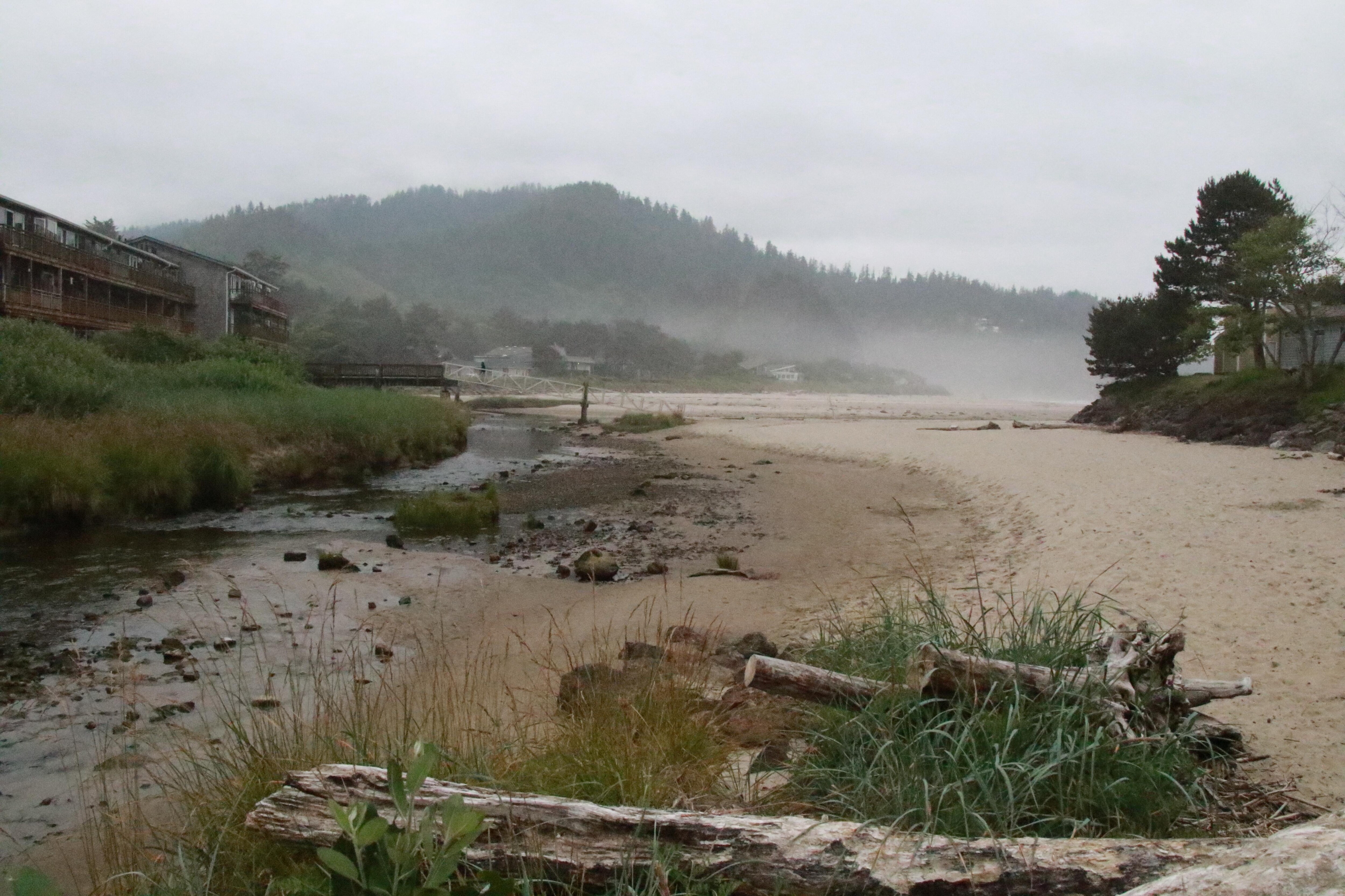 Neskowin Beach State Recreation Area