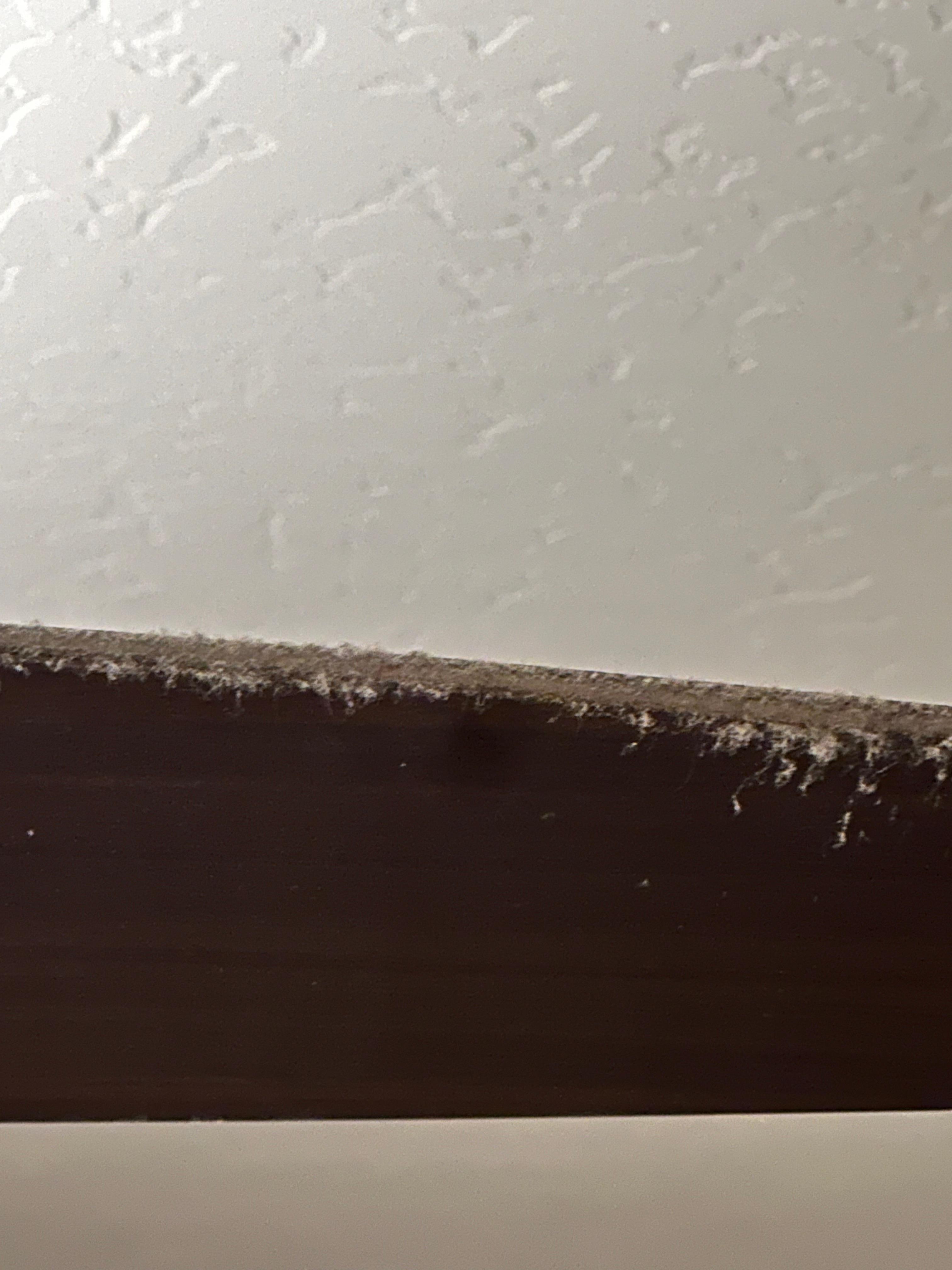 Thick layer of dust on fans