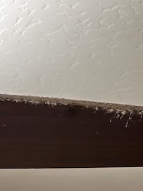 Thick layer of dust on fans