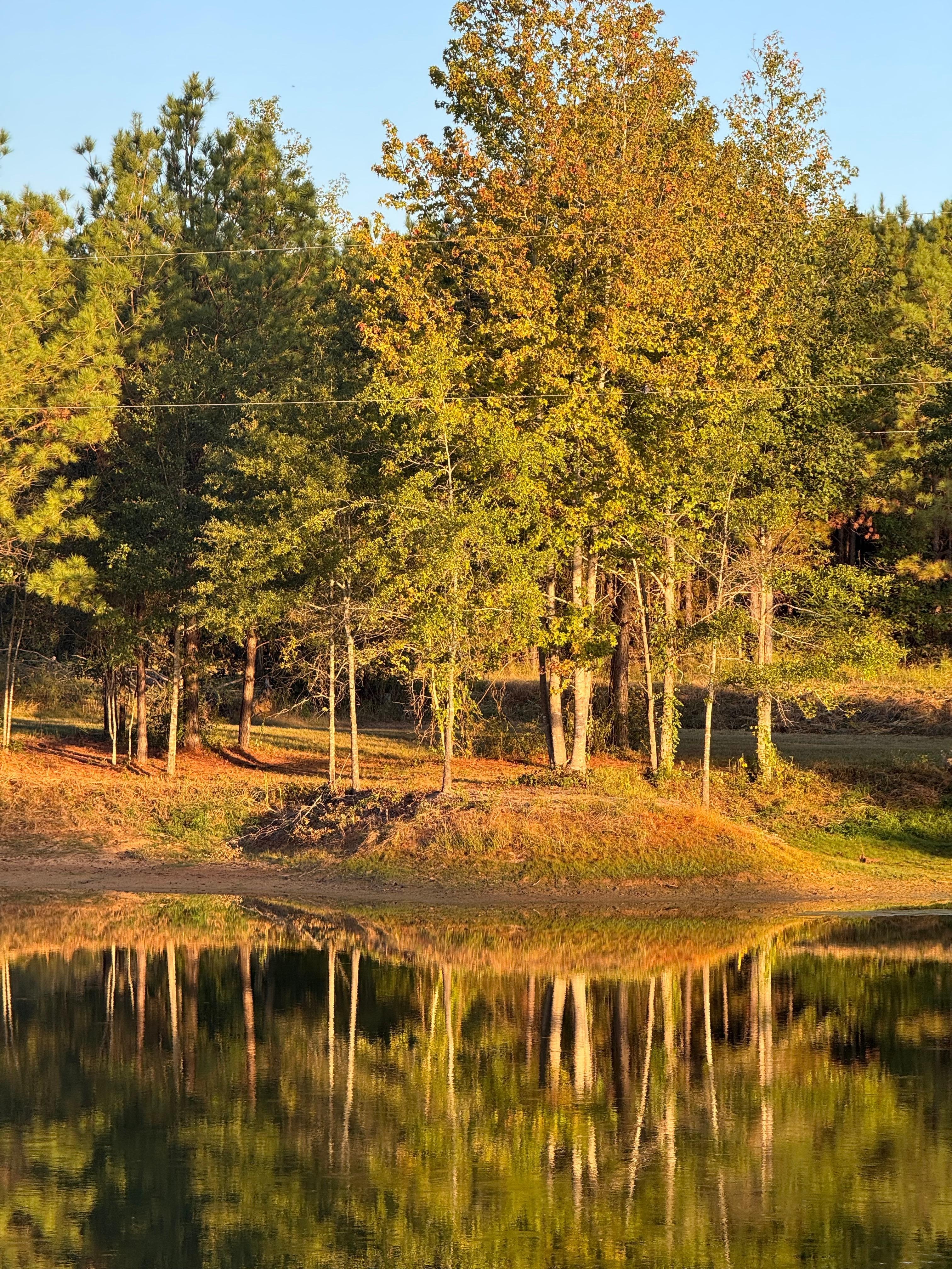 Took a Nice little walk around the pond