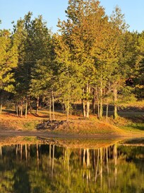 Took a Nice little walk around the pond