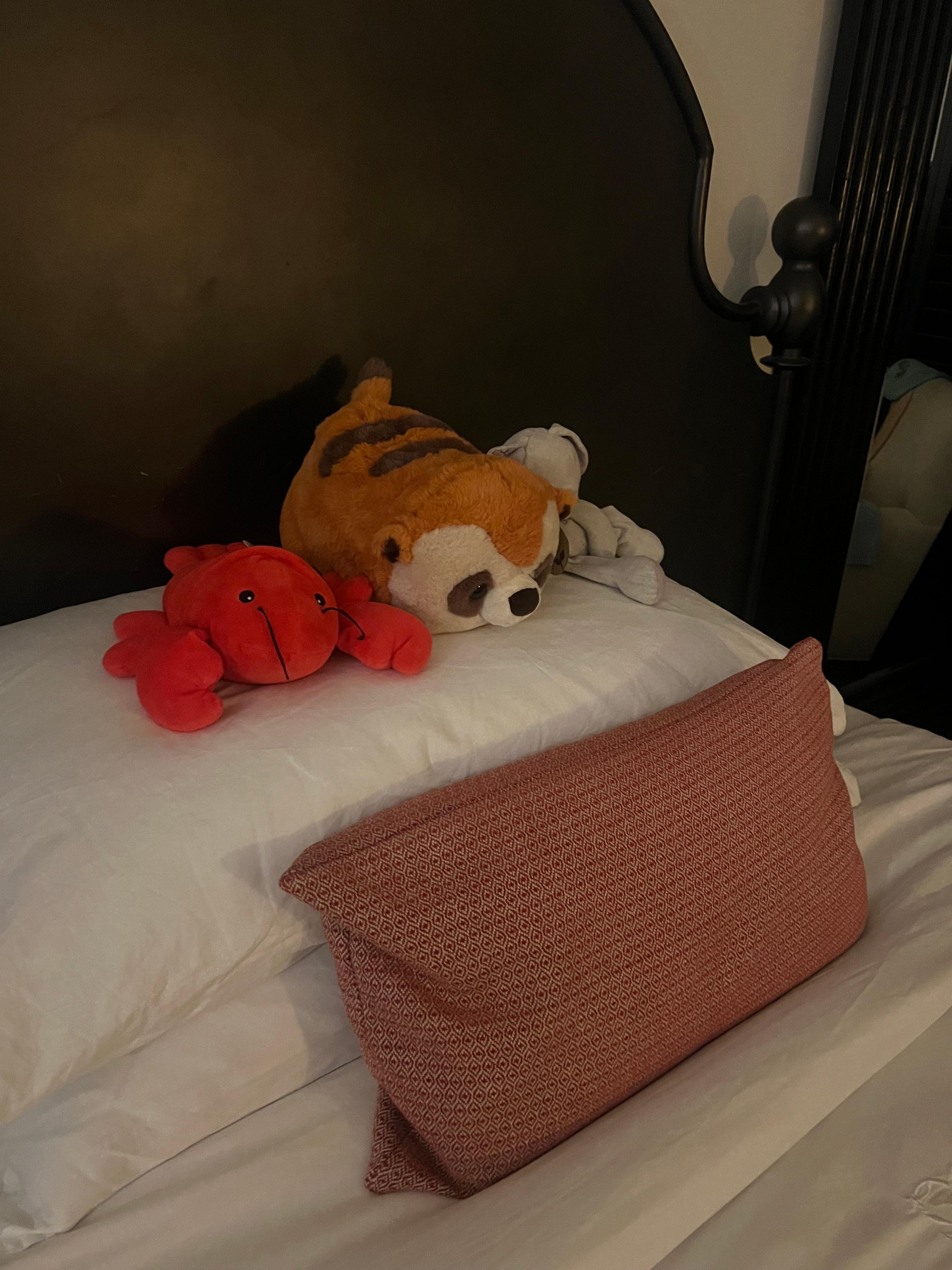 They even took good care or our daughter's favorite friends. 