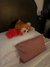 They even took good care or our daughter's favorite friends.