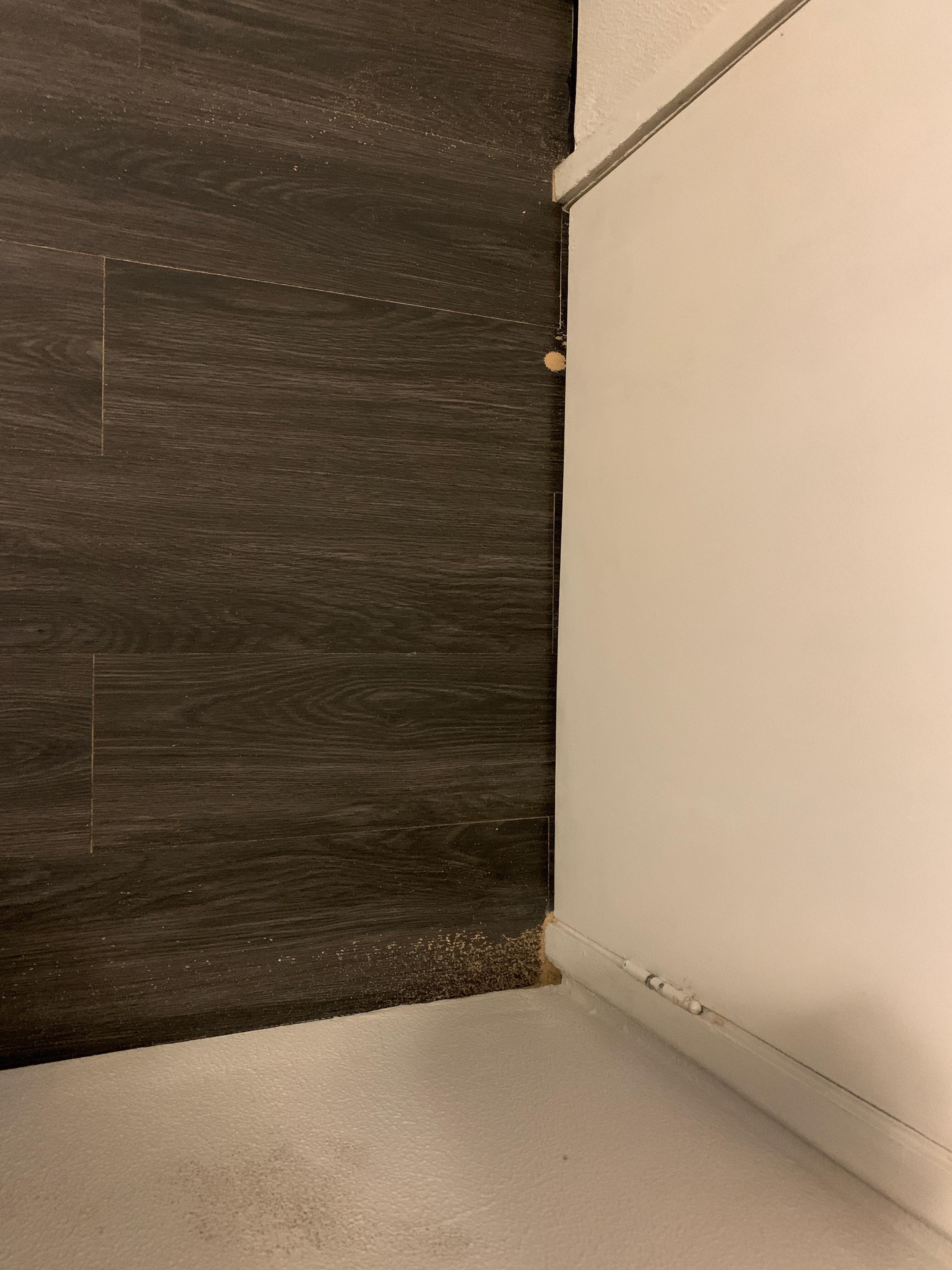 Polia na porta