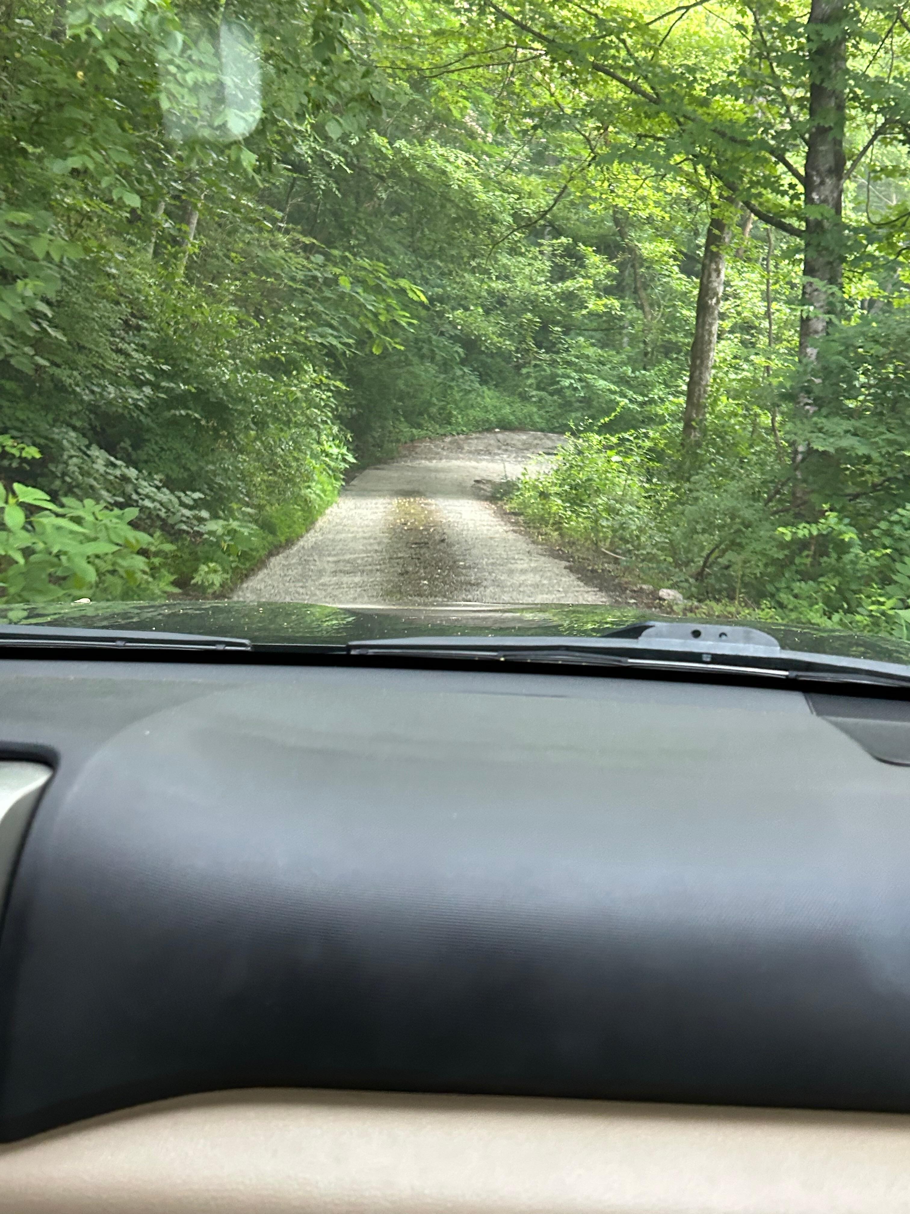 Driveway