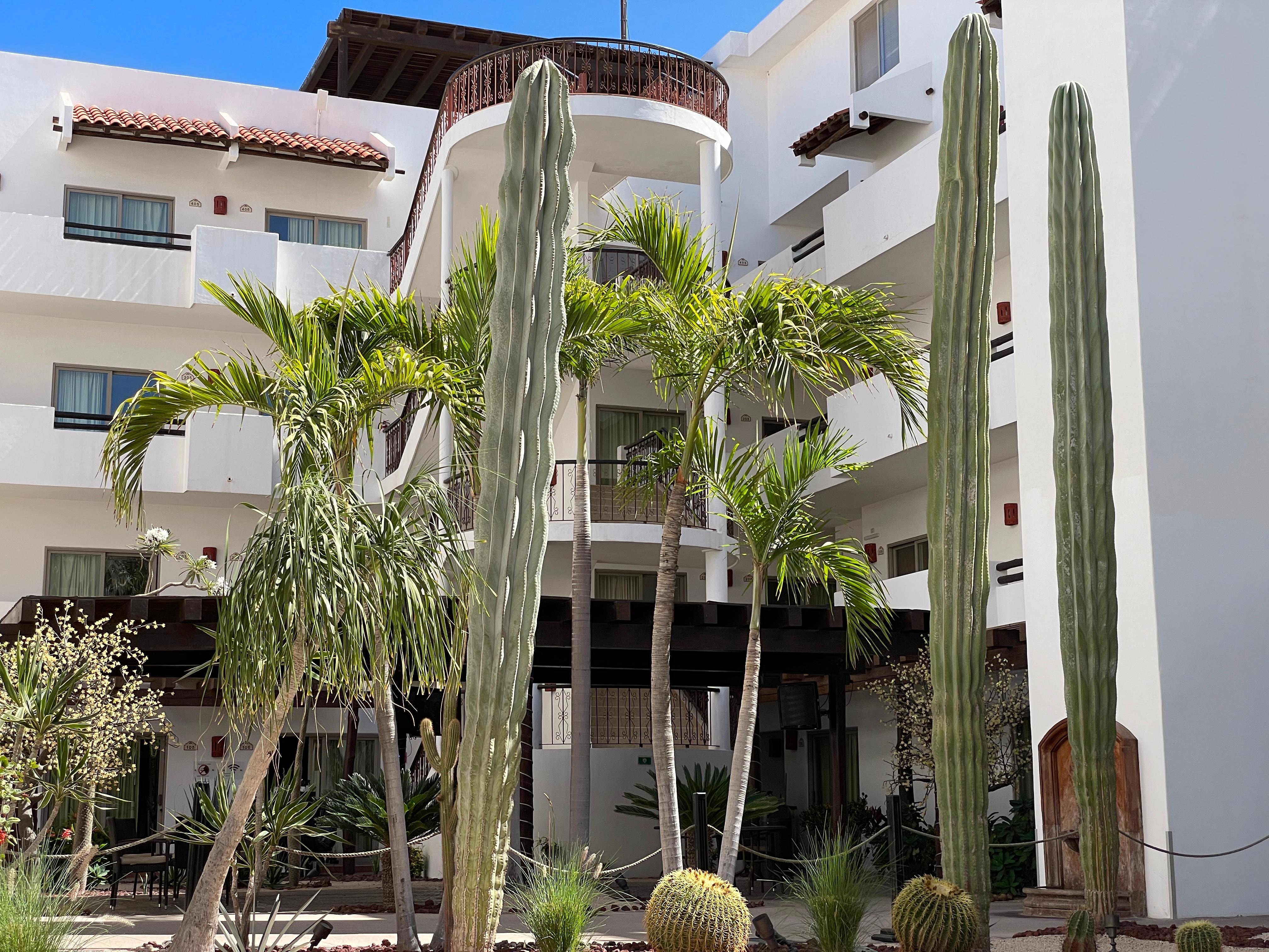 Beautiful landscaping 