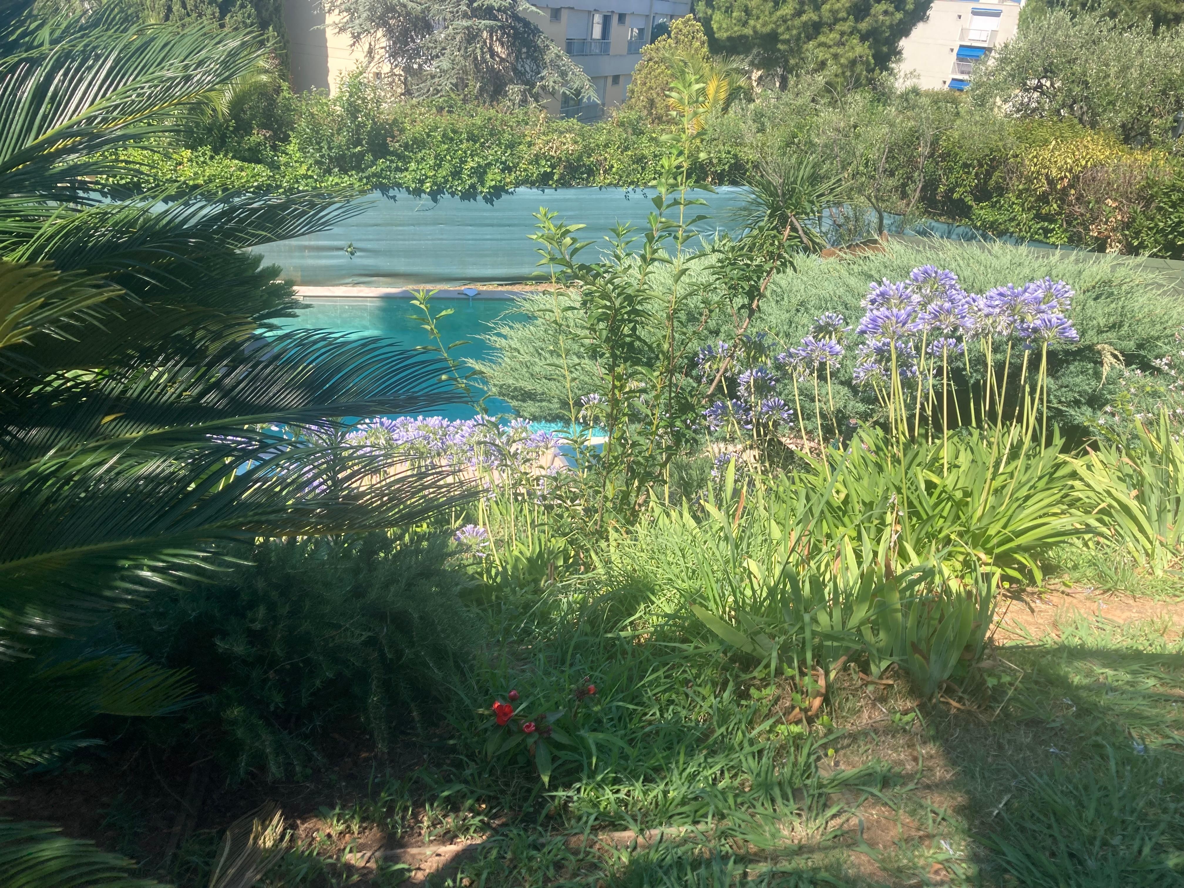 A little slice of paradise!