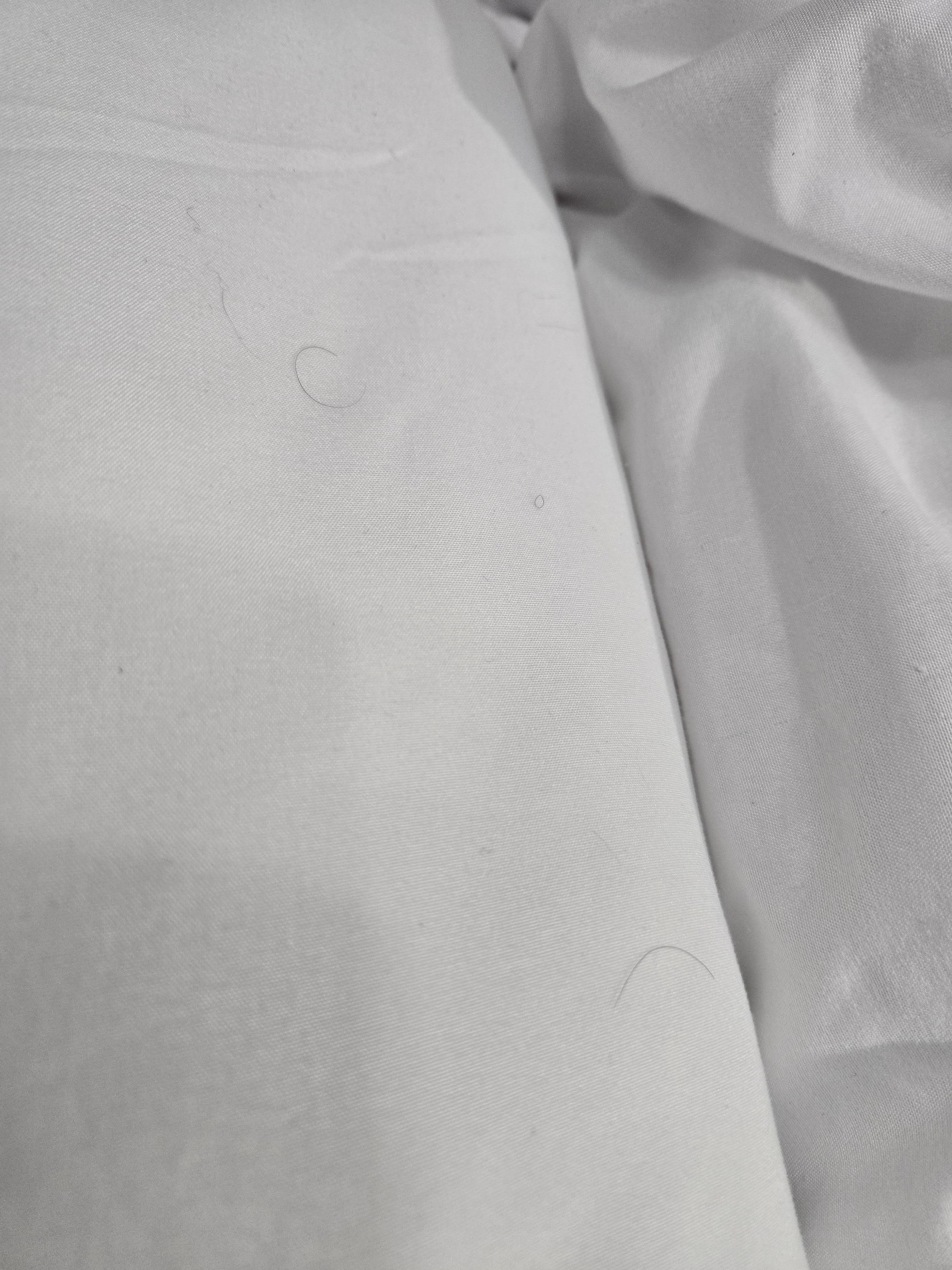 Hair in the bed upon arrival