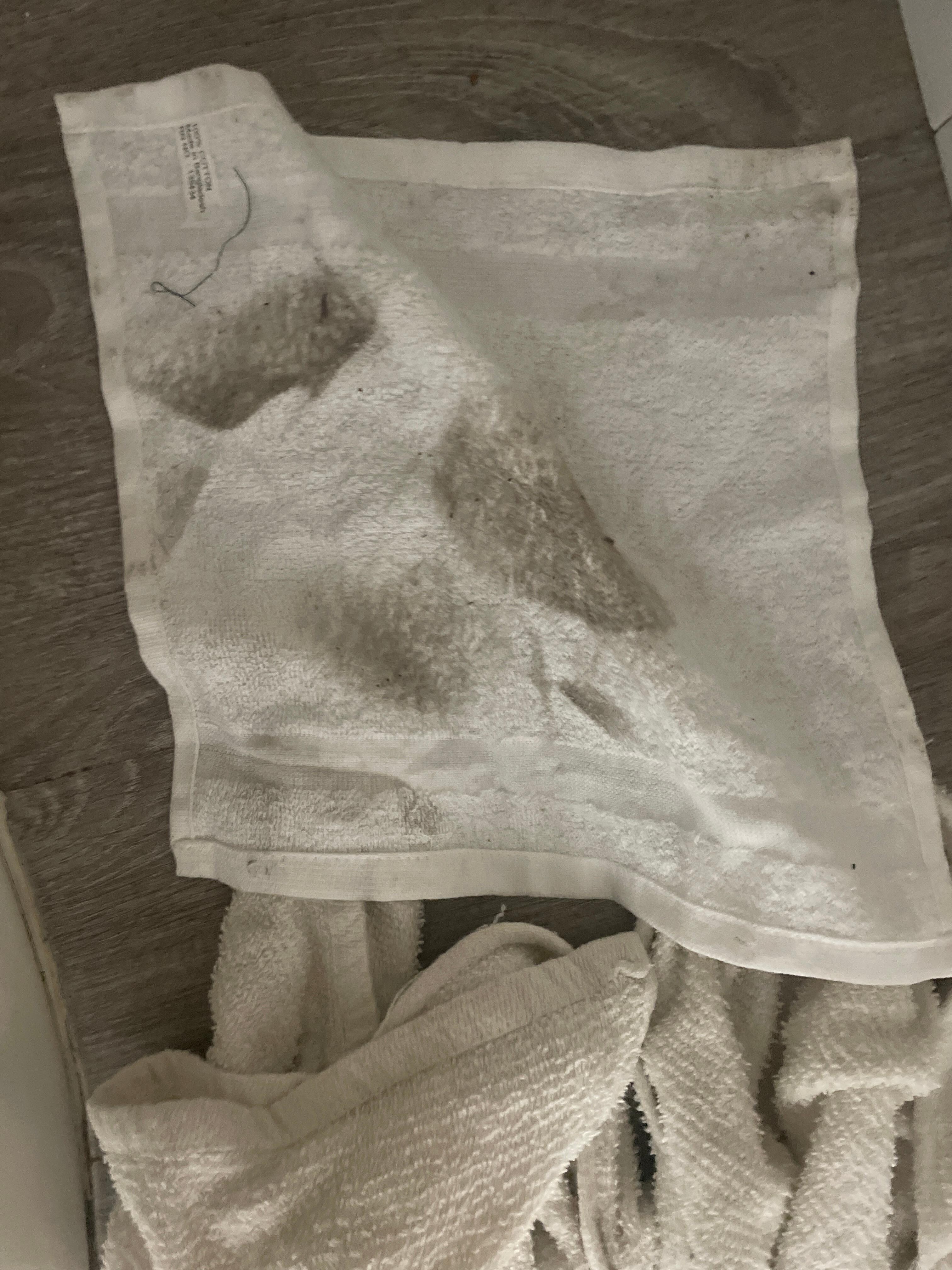 The bathroom floor.
