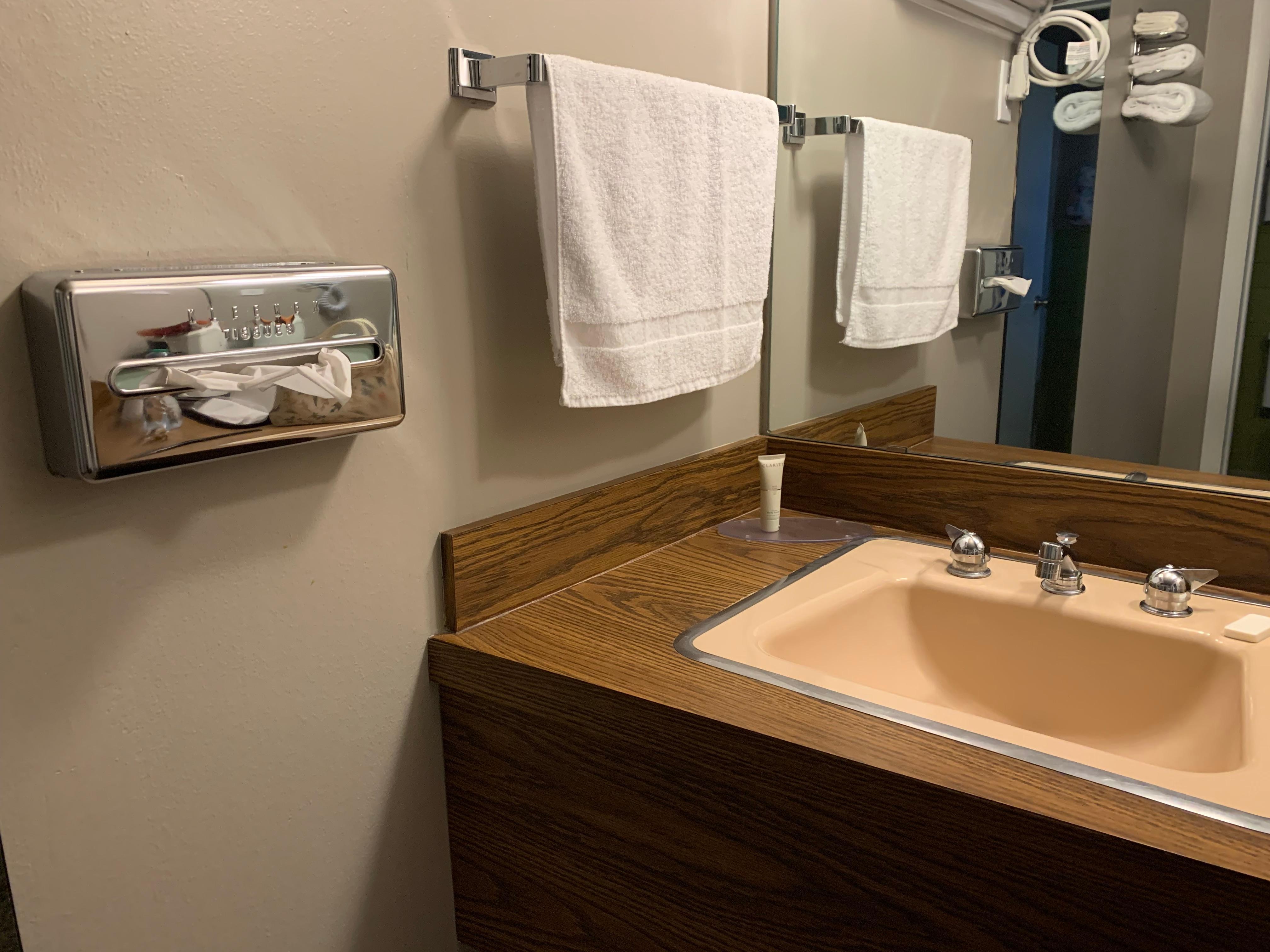 Blush pink sink and metal tissue dispenser
