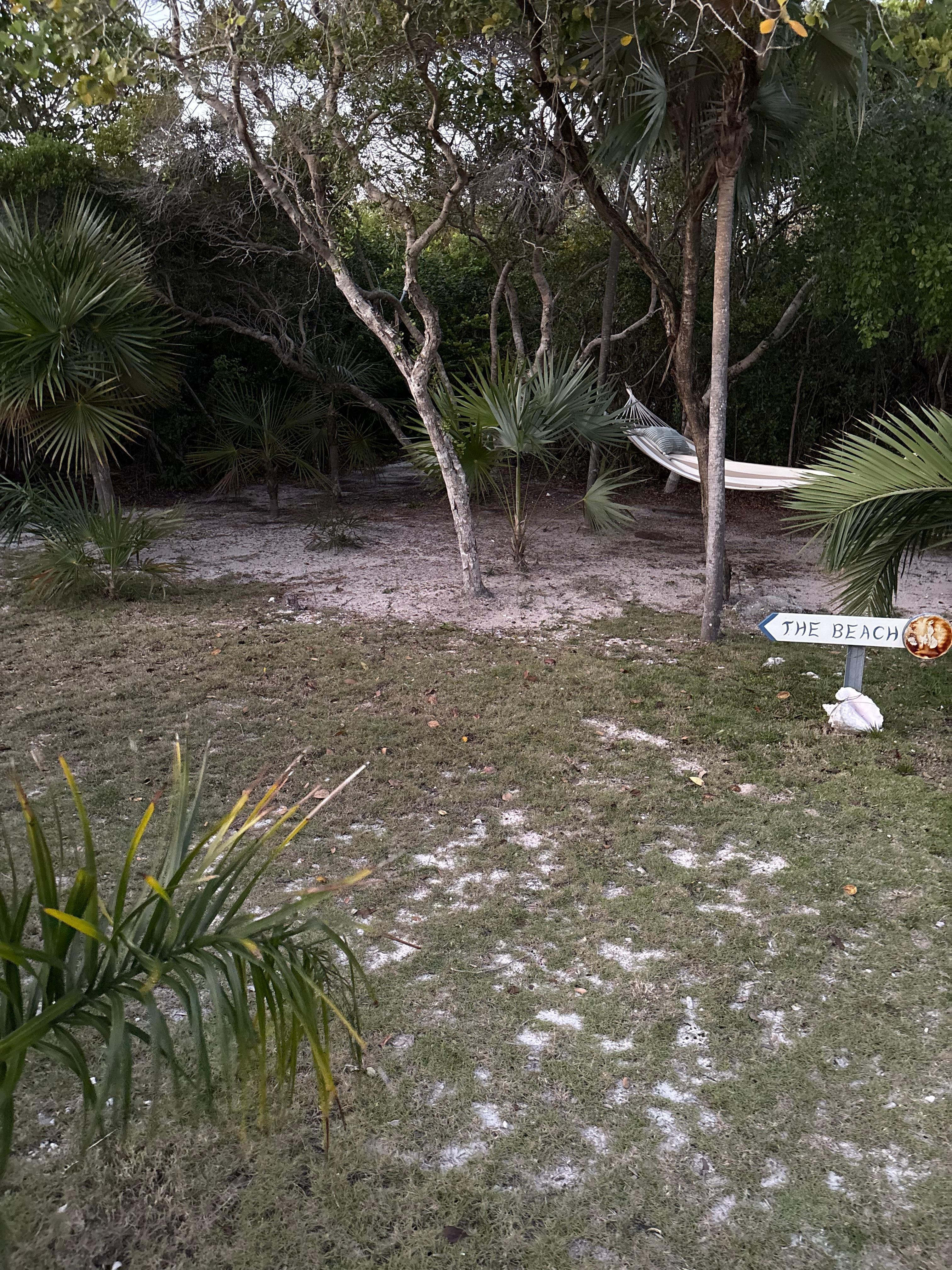 The start of the path to the beach from The Fitz