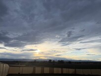 view from the back yard