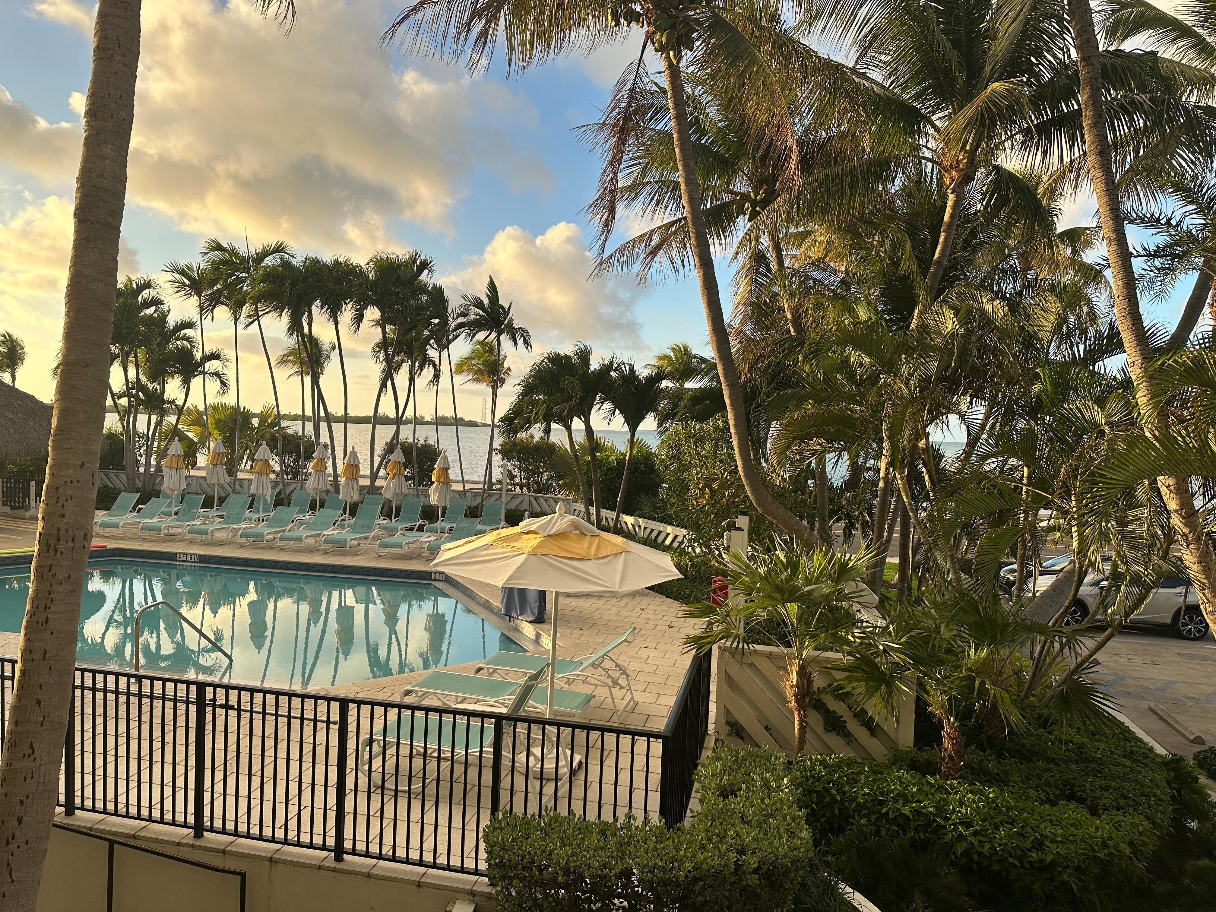 Is this an ocean view? For me, it is not! Room 110 terrible room, I felt cheated. Paid for an ocean view and had a pool view instead. Staff did not want to help or expedia. Really disappointed 