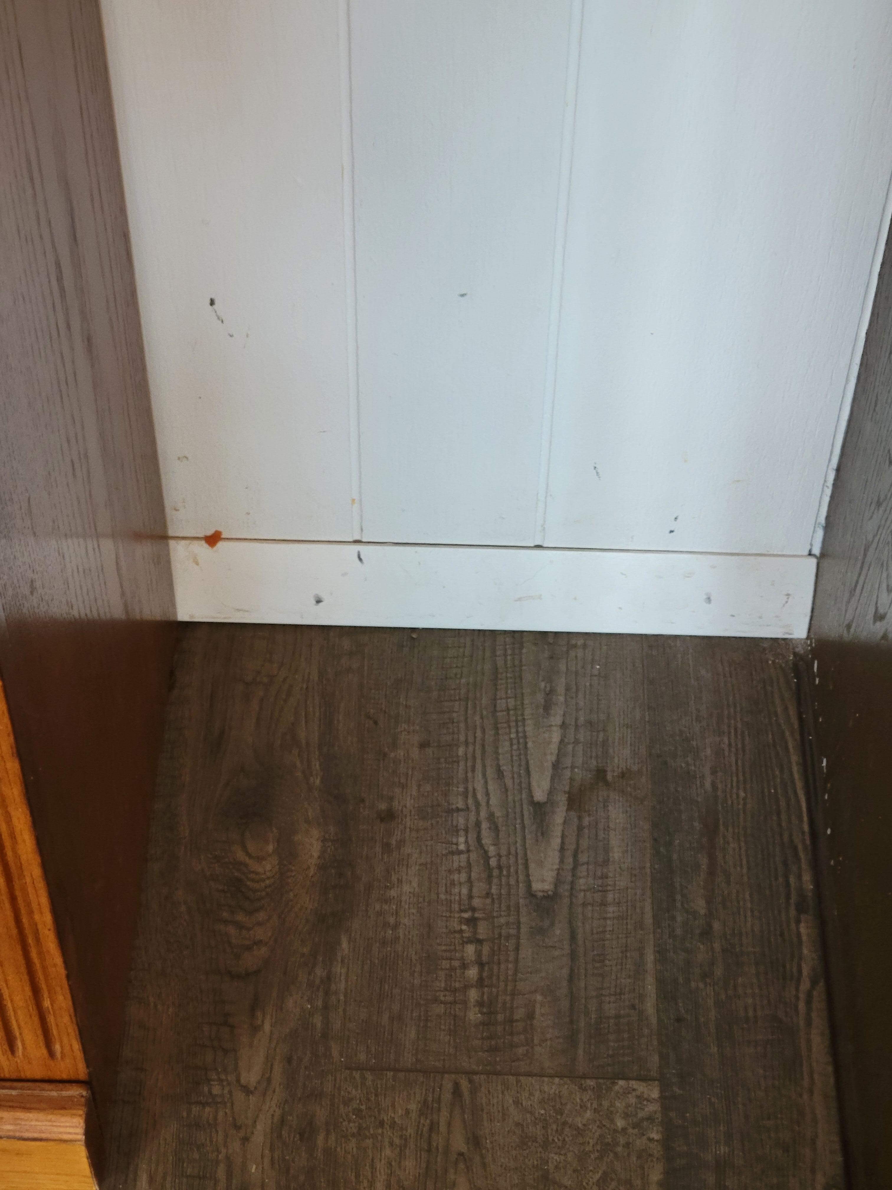 Dirty baseboards with gunk on them, all of the baseboards in house were dirty, the window sills were dirty & littered with dead bugs, we can only upload 8 photos.