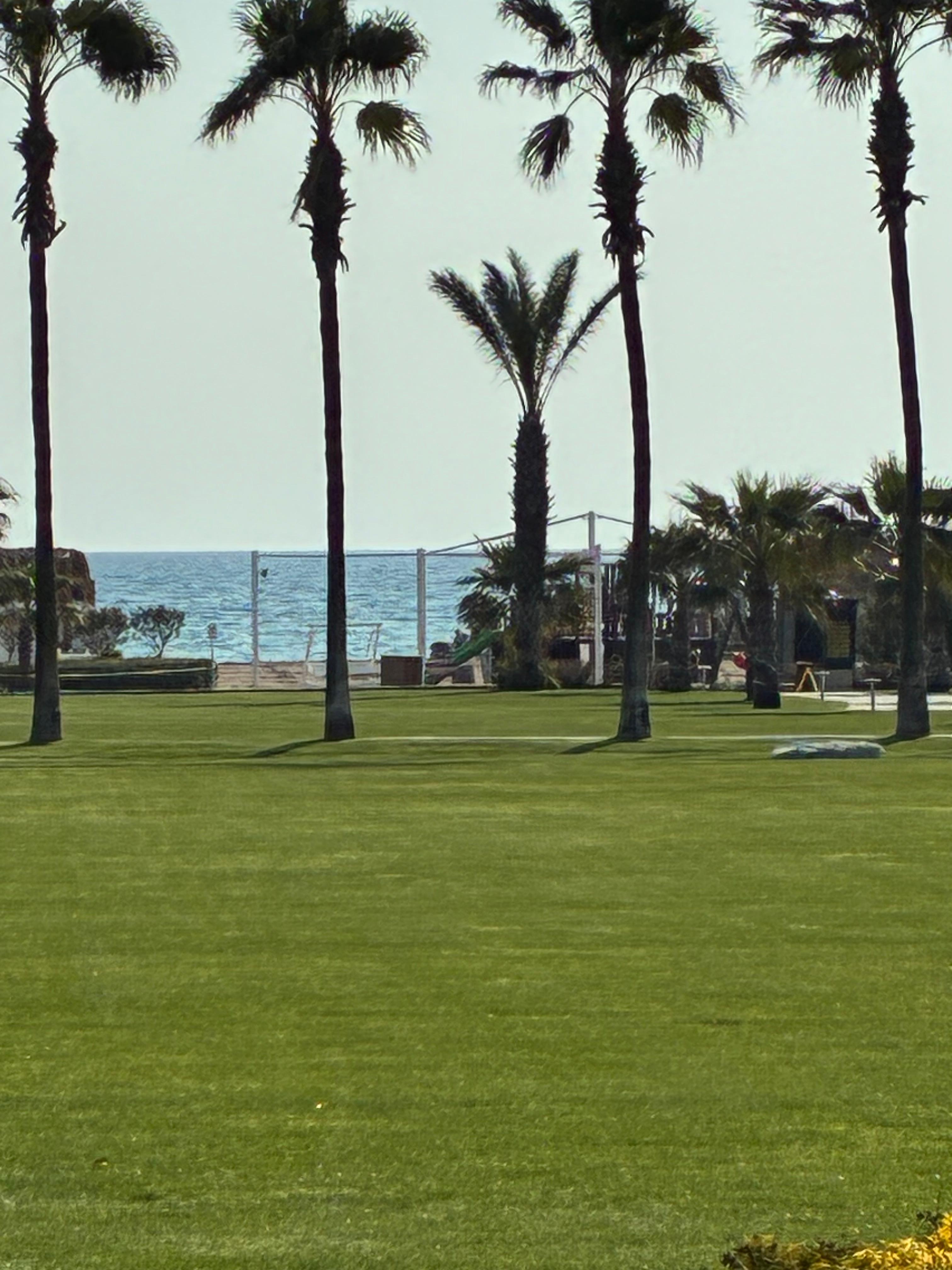 View of the sea from the hotel grounds
