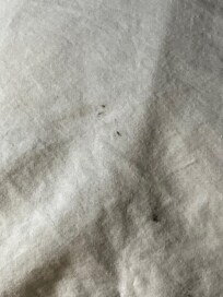 Dirty pillow case
