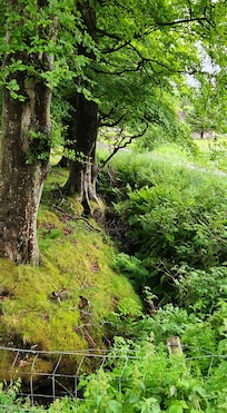 Enchanting country walks