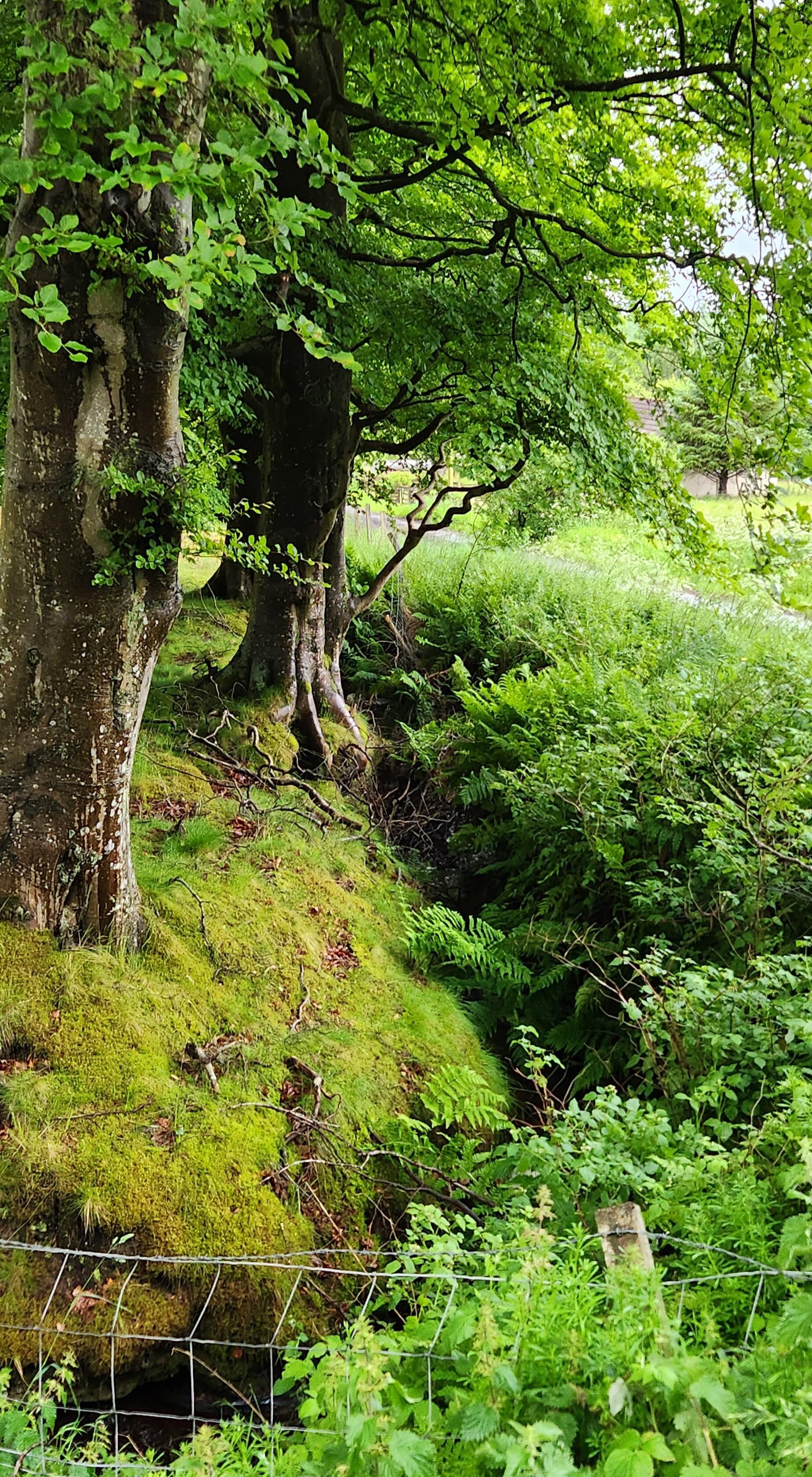 Enchanting country walks