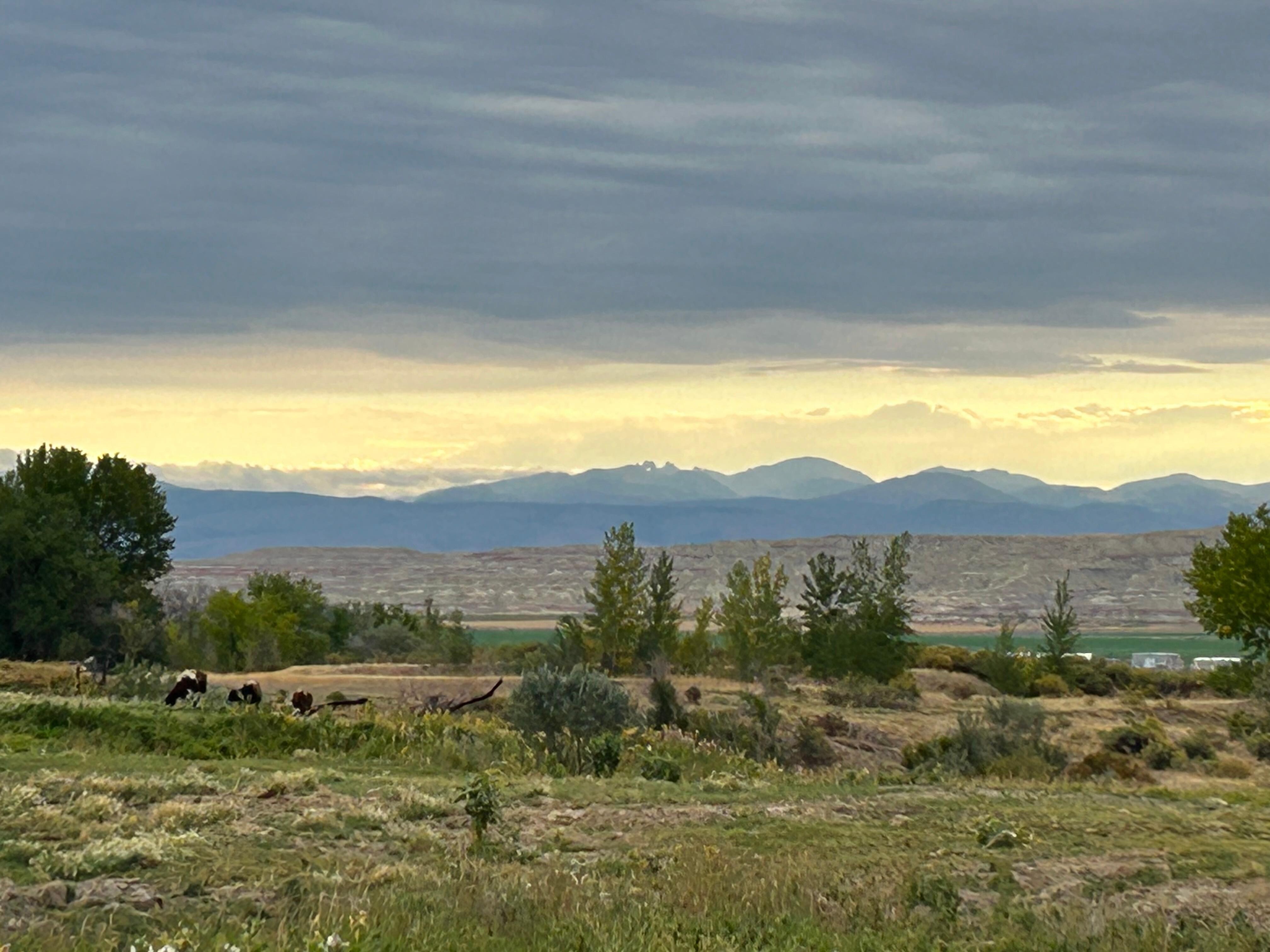 The views from the deck.