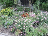 Flower garden at Nuremberg Castle