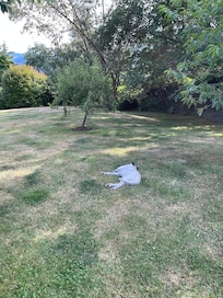 Mary chillin’ in the grass