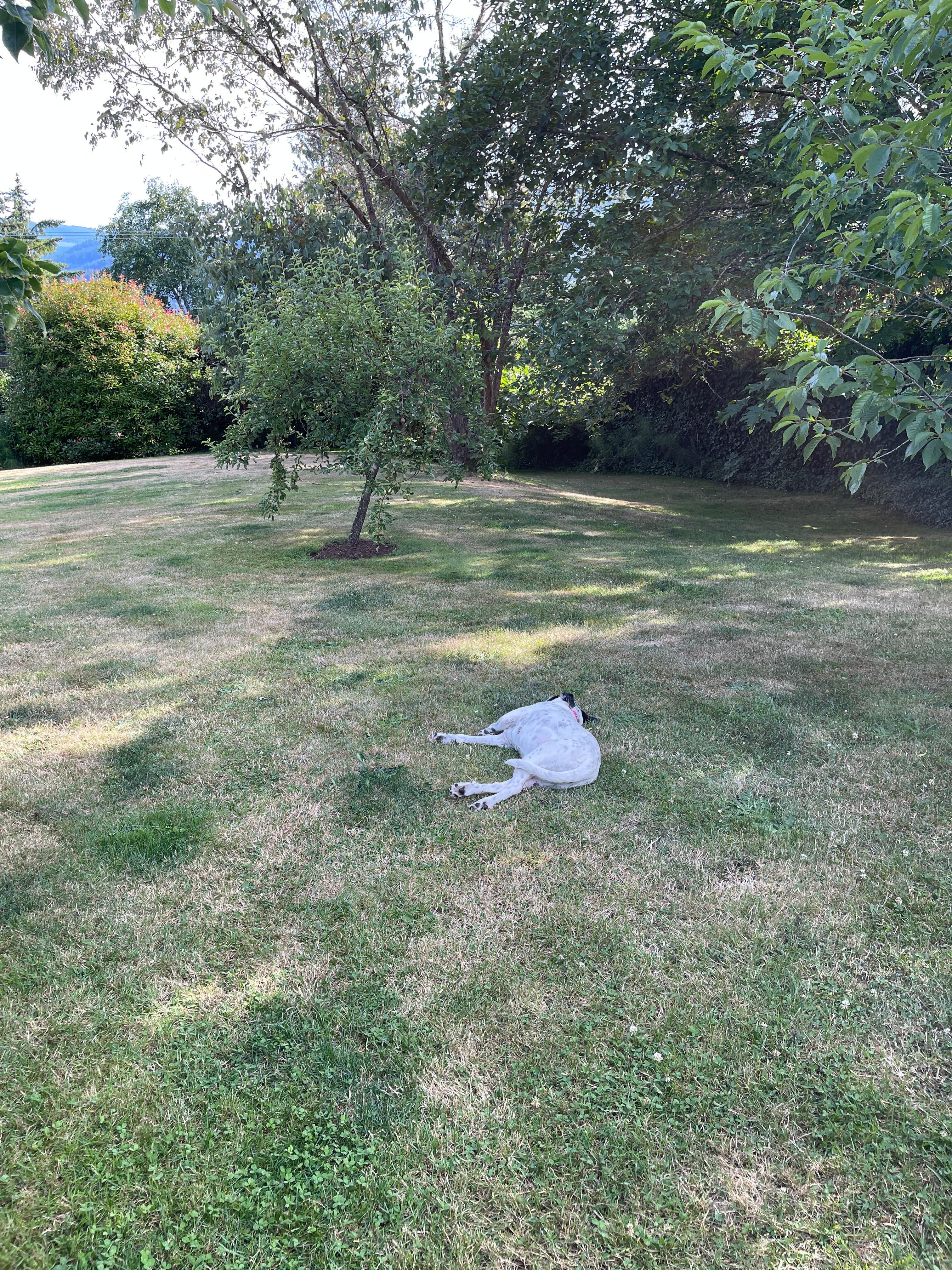Mary chillin’ in the grass